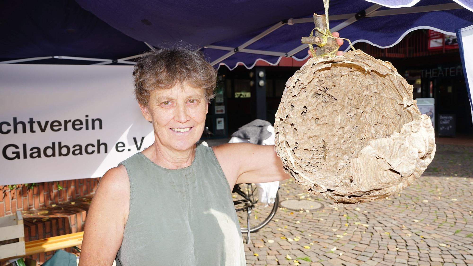 Ulla Hermes hält ein Nest der Asiatischen Hornisse.
