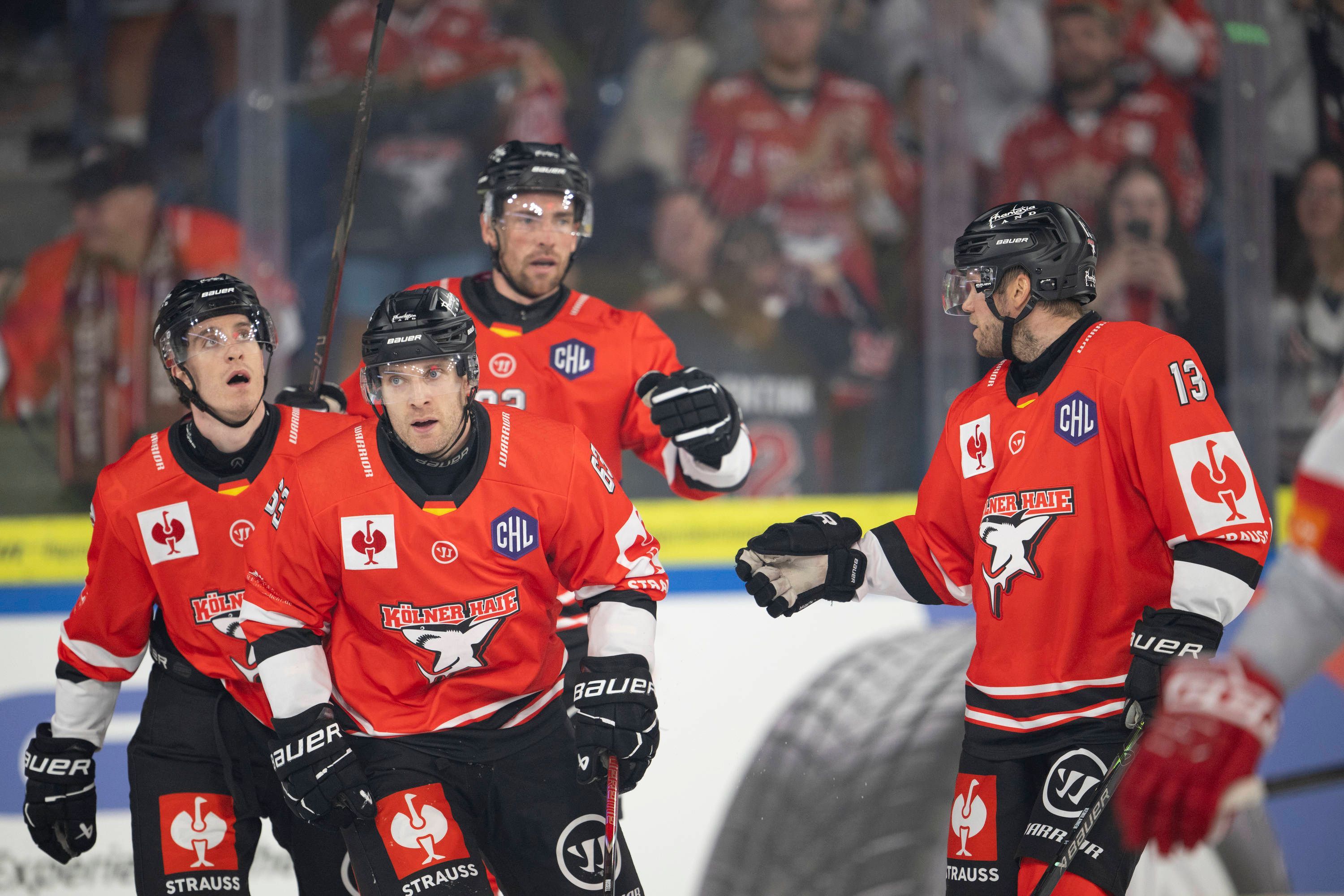 Am Freitag beginnt für den KEC die neue Saison in der DEL. Bisher befinden sich die Haie in starker Frühform.