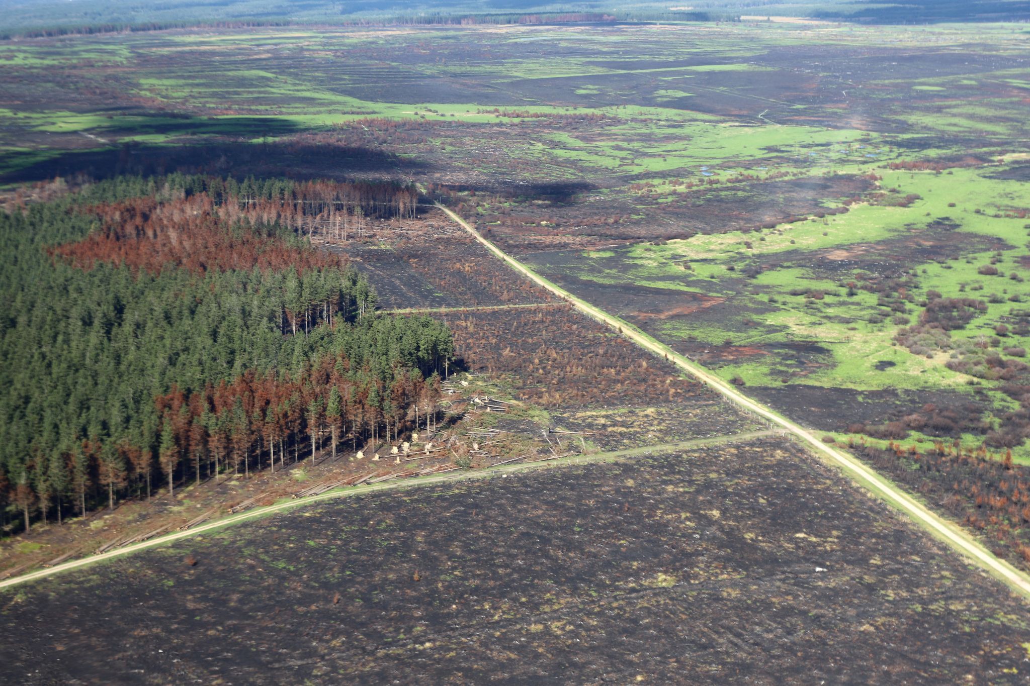 Zerstörung nach den Waldbränden im Hohen Venn