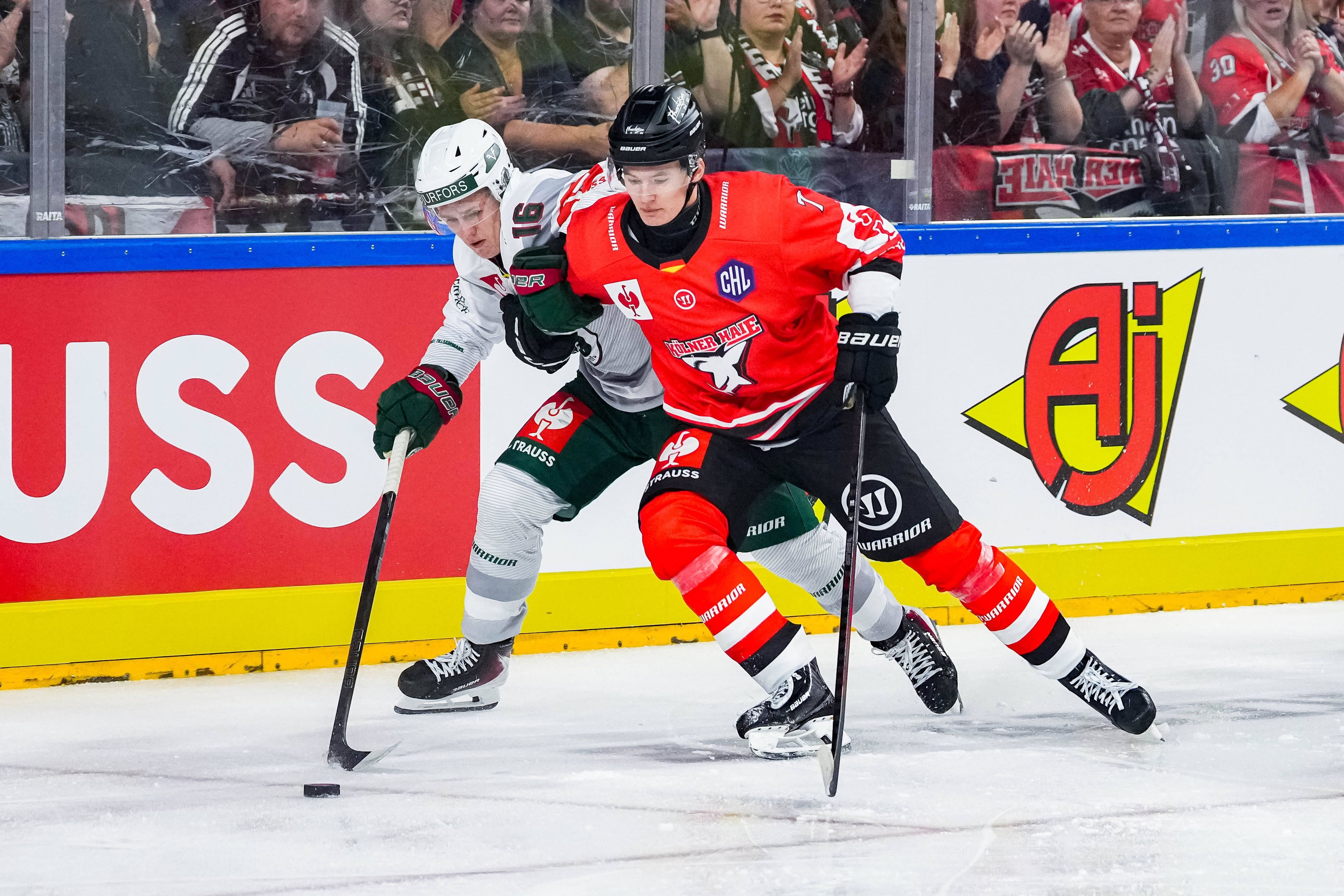 Eishockey CHL 3. Spieltag Kölner Haie - Frölunda Göteborg am 10.09.2026 in der Lanxess Arena in Köln Bosse Meijer  Göteborg , links - Carlos Händel  Köln , rechts *** Ice Hockey CHL, Matchday 3: Kölner Haie vs. Frölunda Göteborg on September 10, 2026, at the Lanxess Arena in Cologne. Bosse Meijer Göteborg, left Carlos Händel Cologne, right xDMx