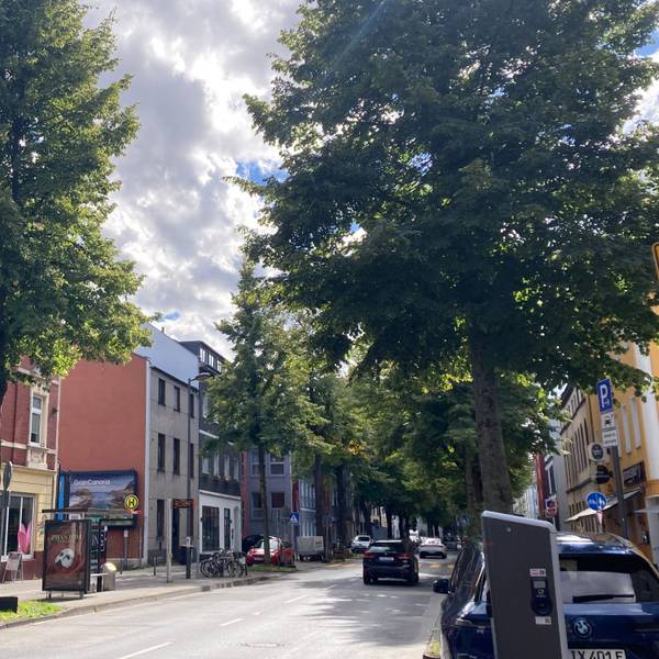 Ein Blick in die Brühler Straße, gesäumt von Geschäften und Wohnhäusern.