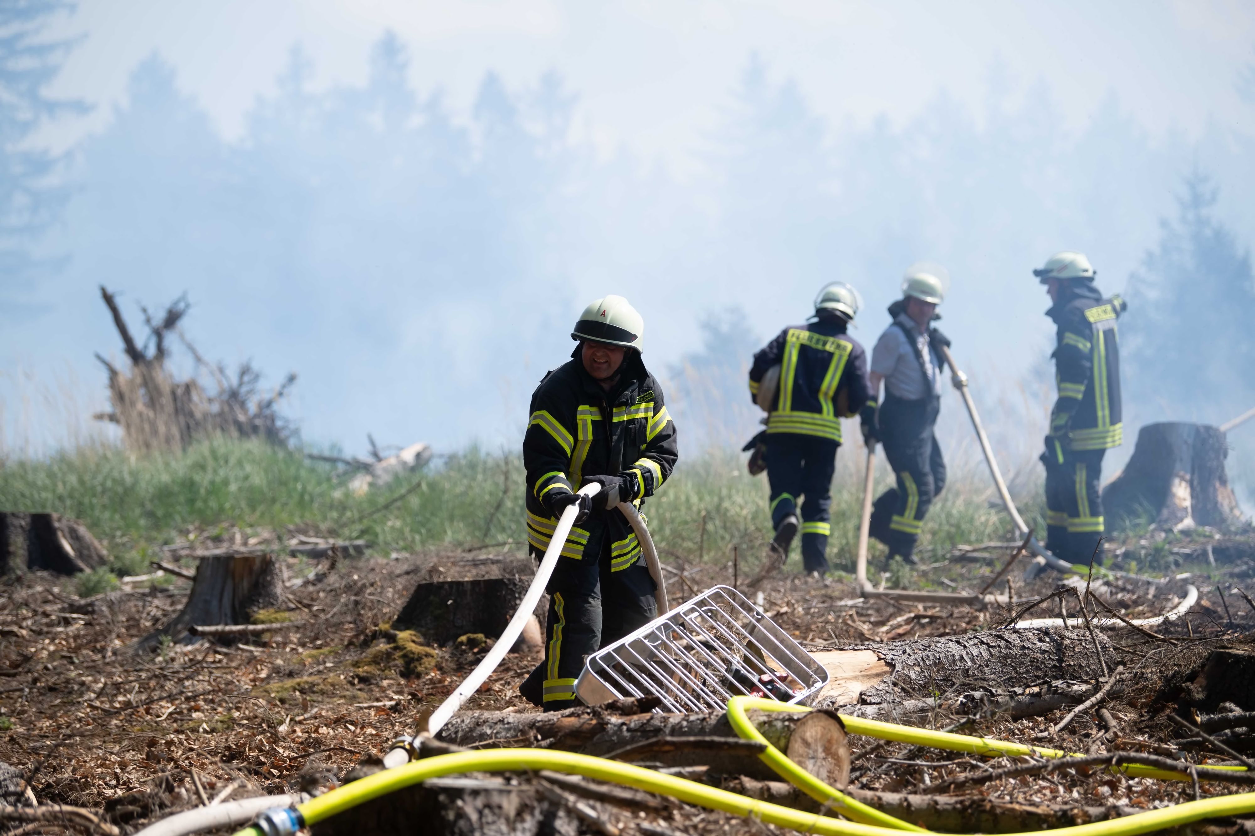 Das Bild zeigt Feuerwehrleute, die ein Feuer in einem Wald bekämpfen.