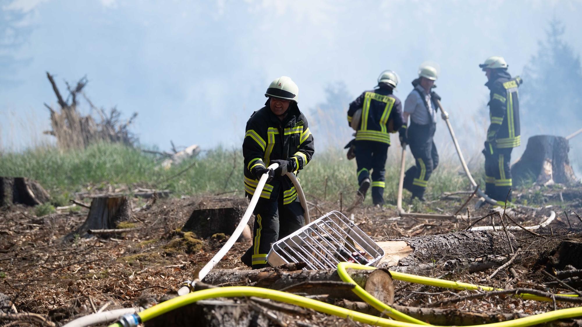 Das Bild zeigt Feuerwehrleute, die ein Feuer in einem Wald bekämpfen.