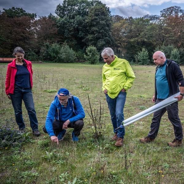 Regine Kossler (rat), Hans-Martin Kochanek (blau), Wolfgang Heep (gelb), Dr. Christian Wolf (Dunkelste Jacke) vom Nabu und BUND auf dem Platz des BV Wiesdorf im Stadtprk: Ralf Krieger