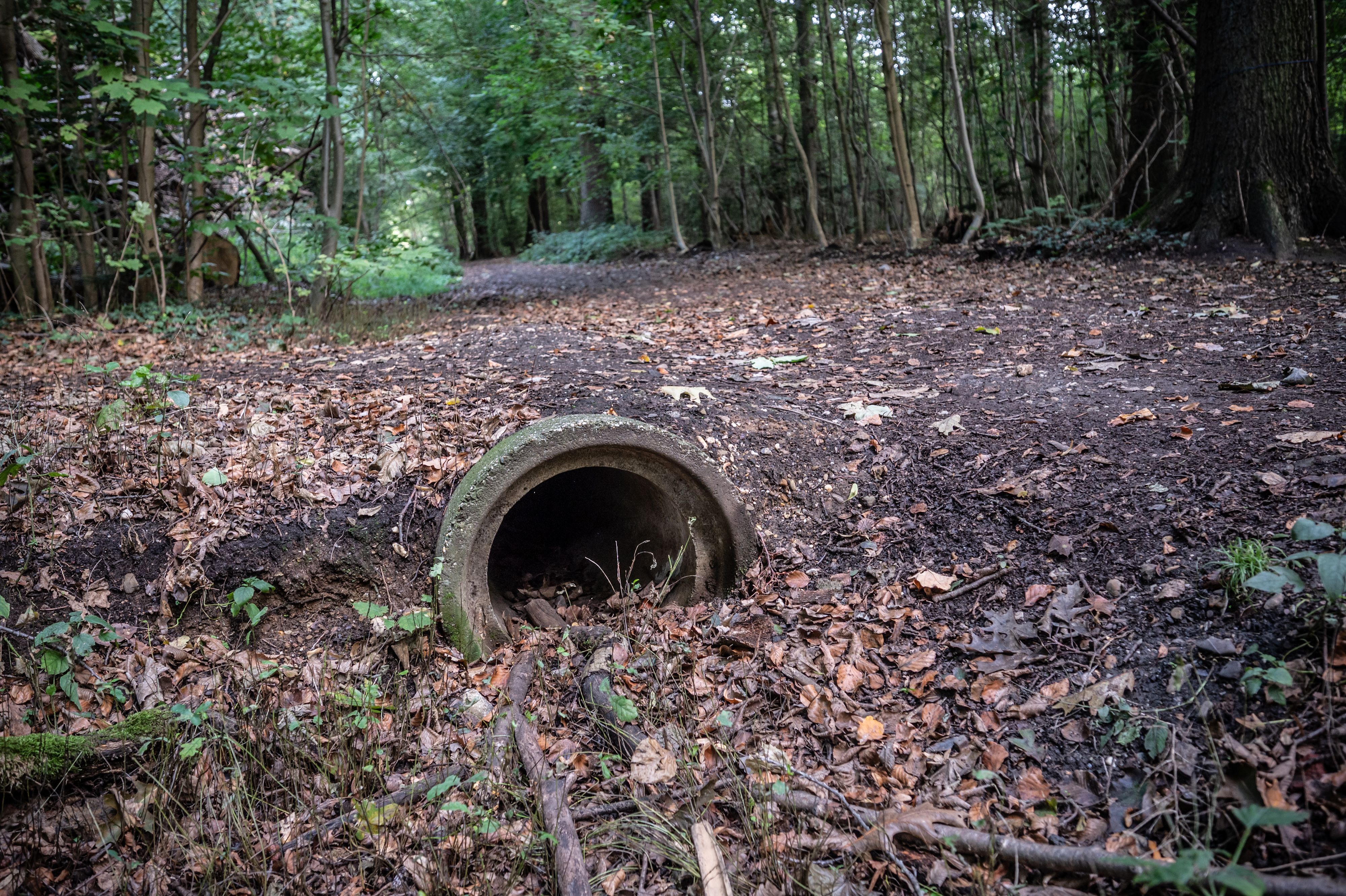 Im Bürgerbusch fließt Regenwasser oberirdisch ab. Aus heutiger Sicht ist das unsinnig: Das Grabensystem, zu dem dieses Rohr gehört, liegt oberhalb der Gezelinkapelle.