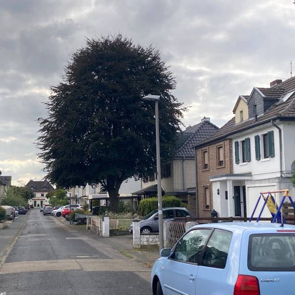Ein Stück Köln: Der Blick von der Volkhovener Straße in die Pulheimer Straße.