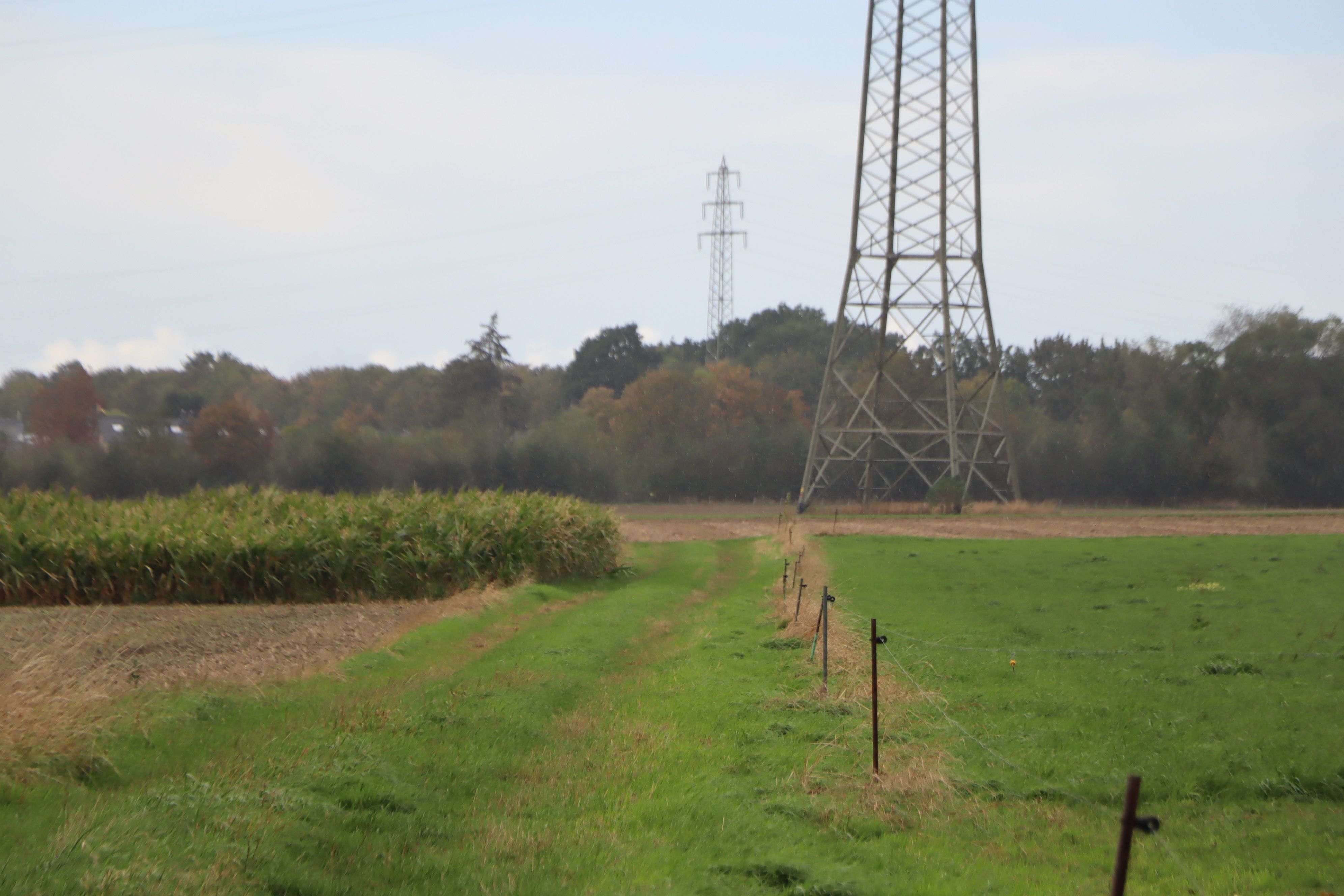 Über diesen Feldweg sollen die Täter Richtung Kierdorf geflüchtet sein.