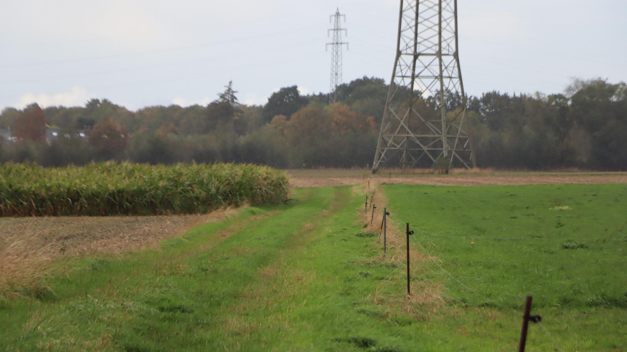 Über diesen Feldweg sollen die Täter Richtung Kierdorf geflüchtet sein.