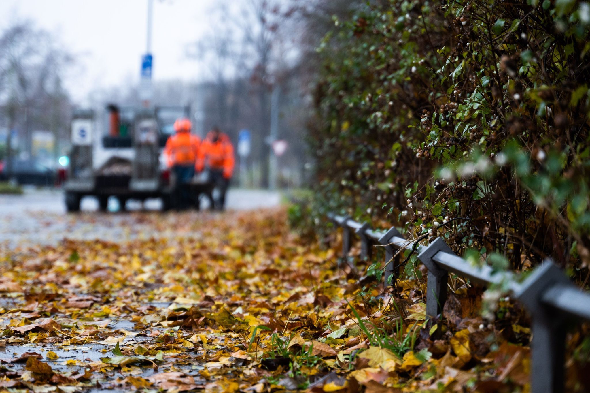 Regnerische Herbsttage