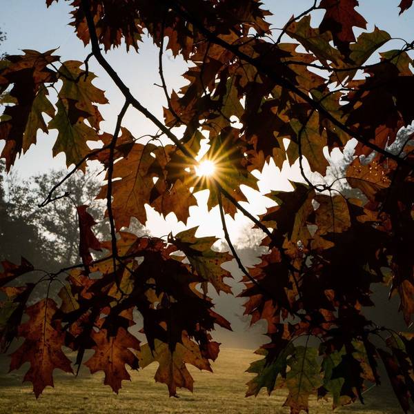 Was der Herbst mit unserem Körper macht