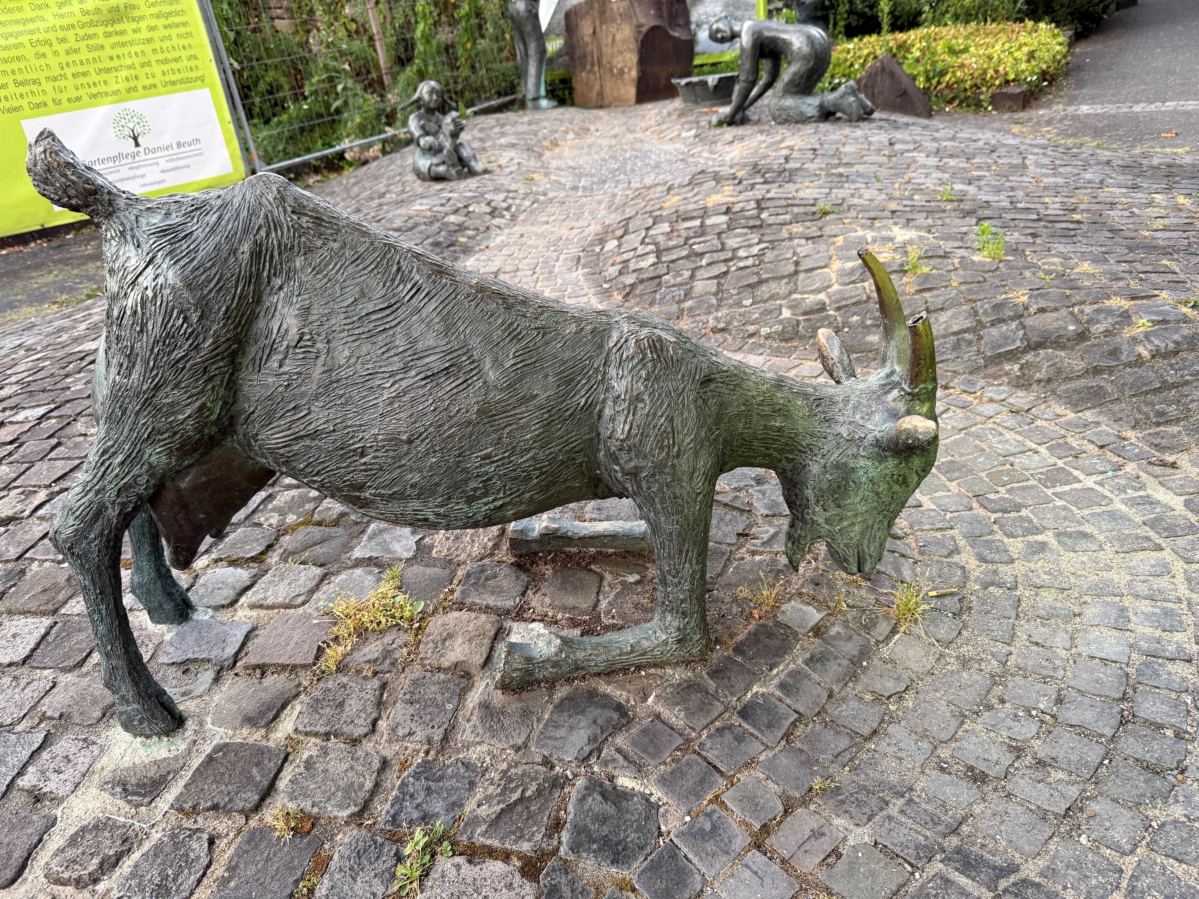 Bei der Ziege wurde immer wieder ein Horn beschädigt. Die Reparaturen sind sehr teuer.