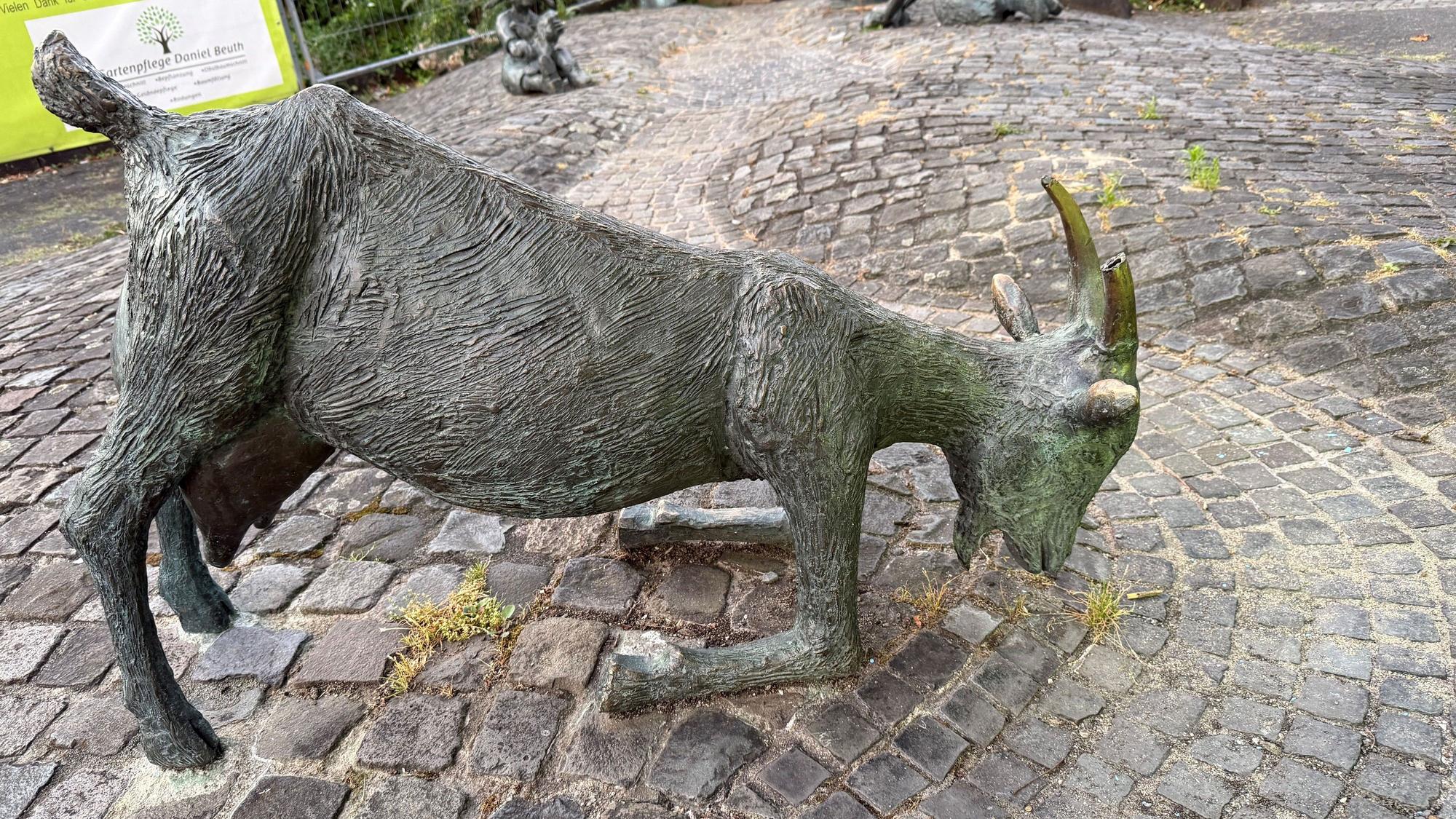 Bei der Ziege wurde immer wieder ein Horn beschädigt. Die Reparaturen sind sehr teuer.