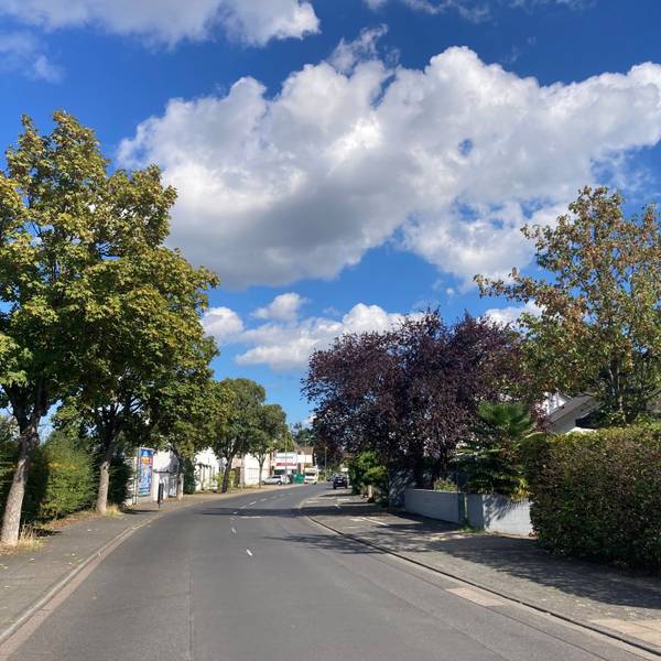 Gut einen halben Kilometer ist die Wesselinger Straße in Köln-Sürth lang.