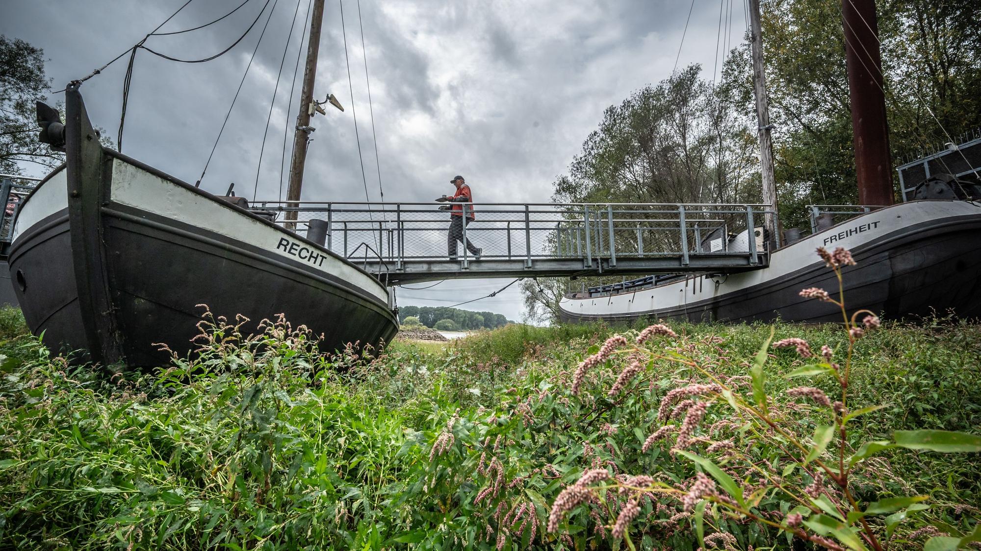 Schiffsbrücke Herbstzauber Bild: Ralf Krieger