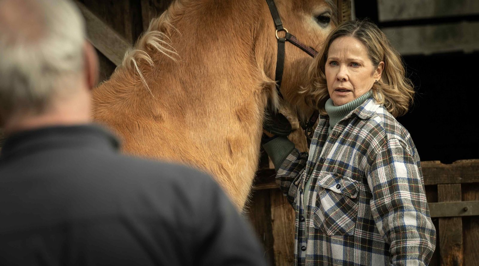 Birgit Heitkamp (Ann-Kathrin Kramer) unterhält außerhalb von Köln einen Gnadenhof für betagte Tiere. Sie ist die Cousine des Mordopfers.
 (Bild: WDR/BAVARIA FICTION/Thomas Kost)