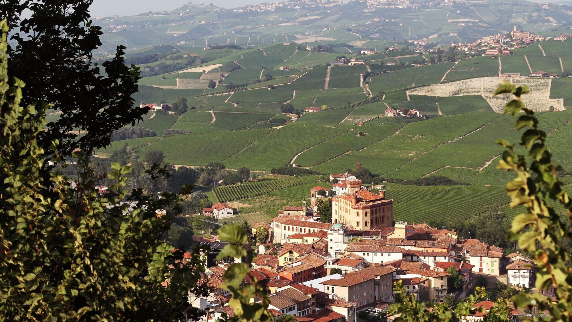 Blick auf Barolo