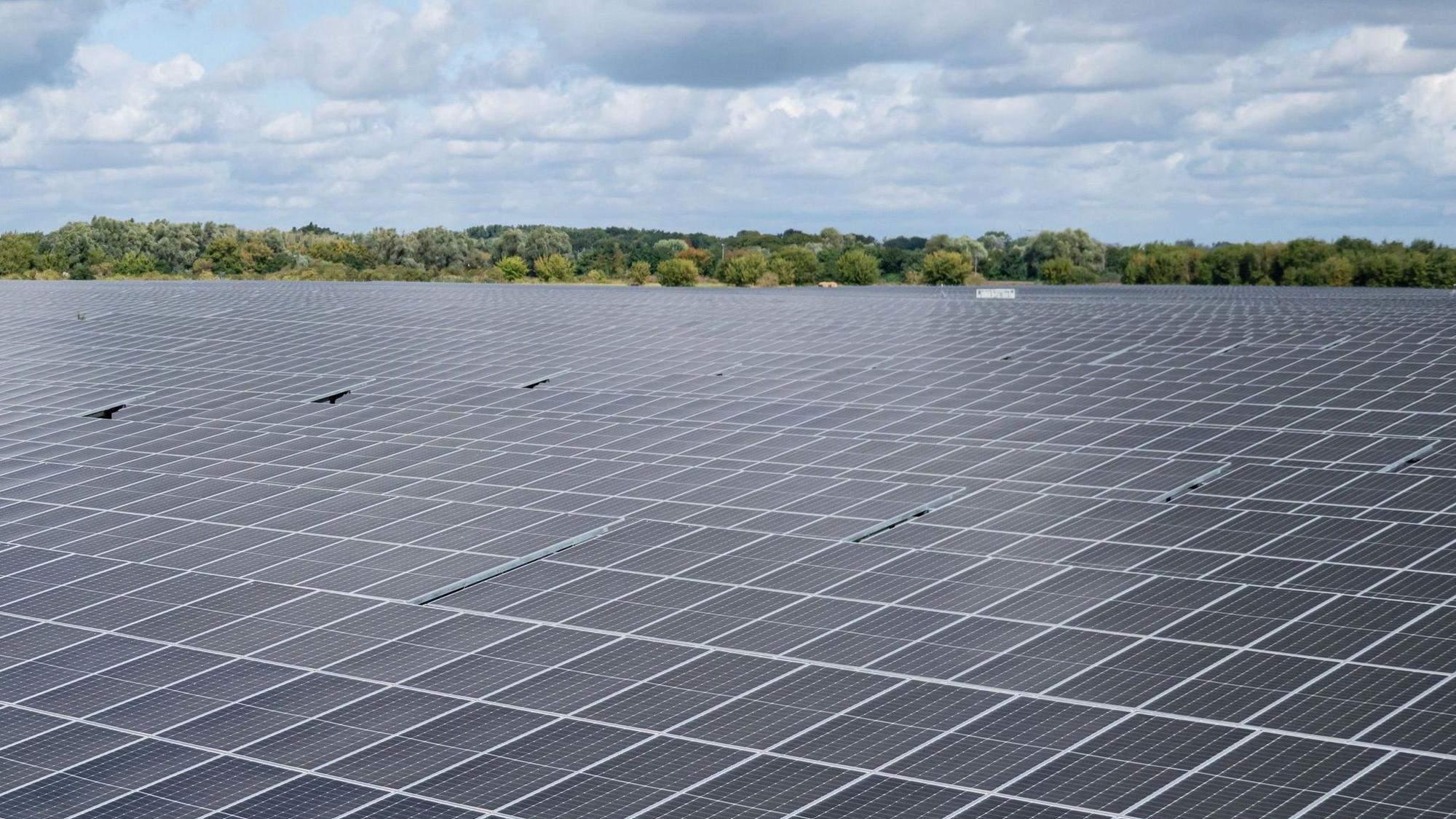 Auf zusammen 16 Hektar Land möchte die Firma Enerparc in Nümbrecht zwei Freiflächen-PV-Anlagen errichten.