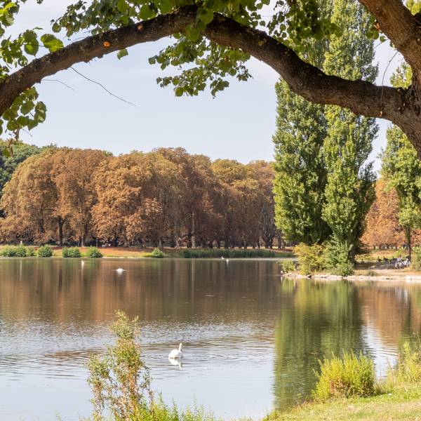 Herbstliche Stimmung in Köln am Decksteiner Weiher. (Archivbild)