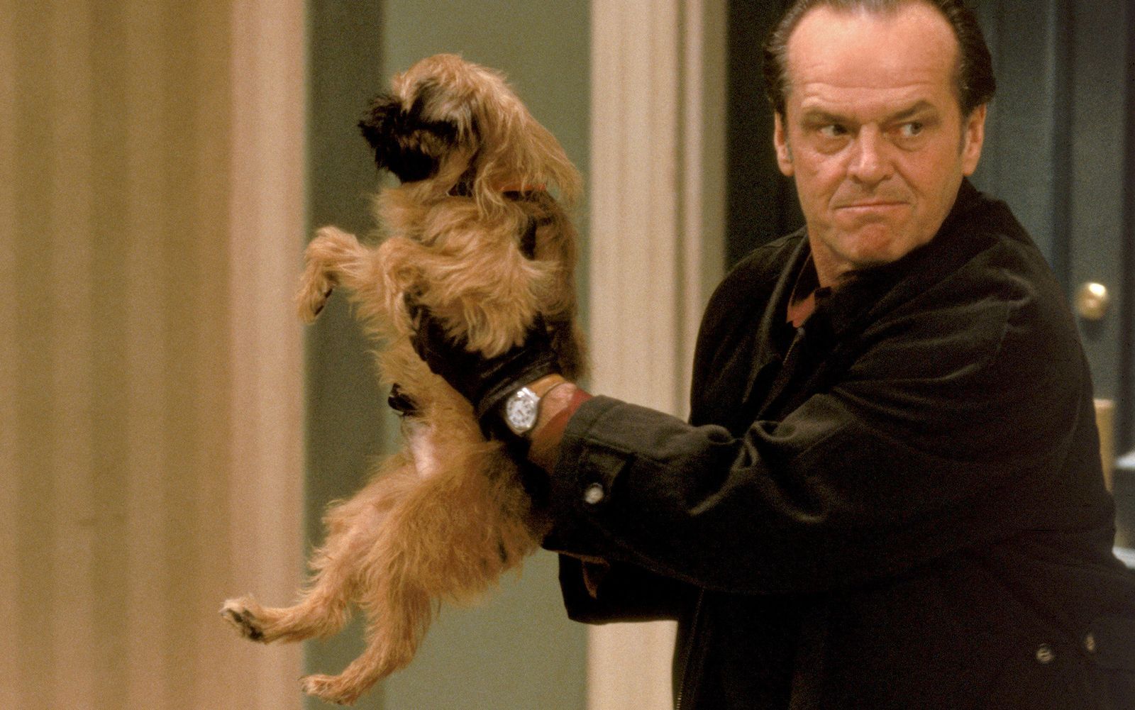Ein Pinscher erschüttert Melvins (Jack Nicholson) Sauberkeitswahn in seinen Grundfesten.  (Bild: ZDF/ARD Degeto/TriStar Pictures, inc)