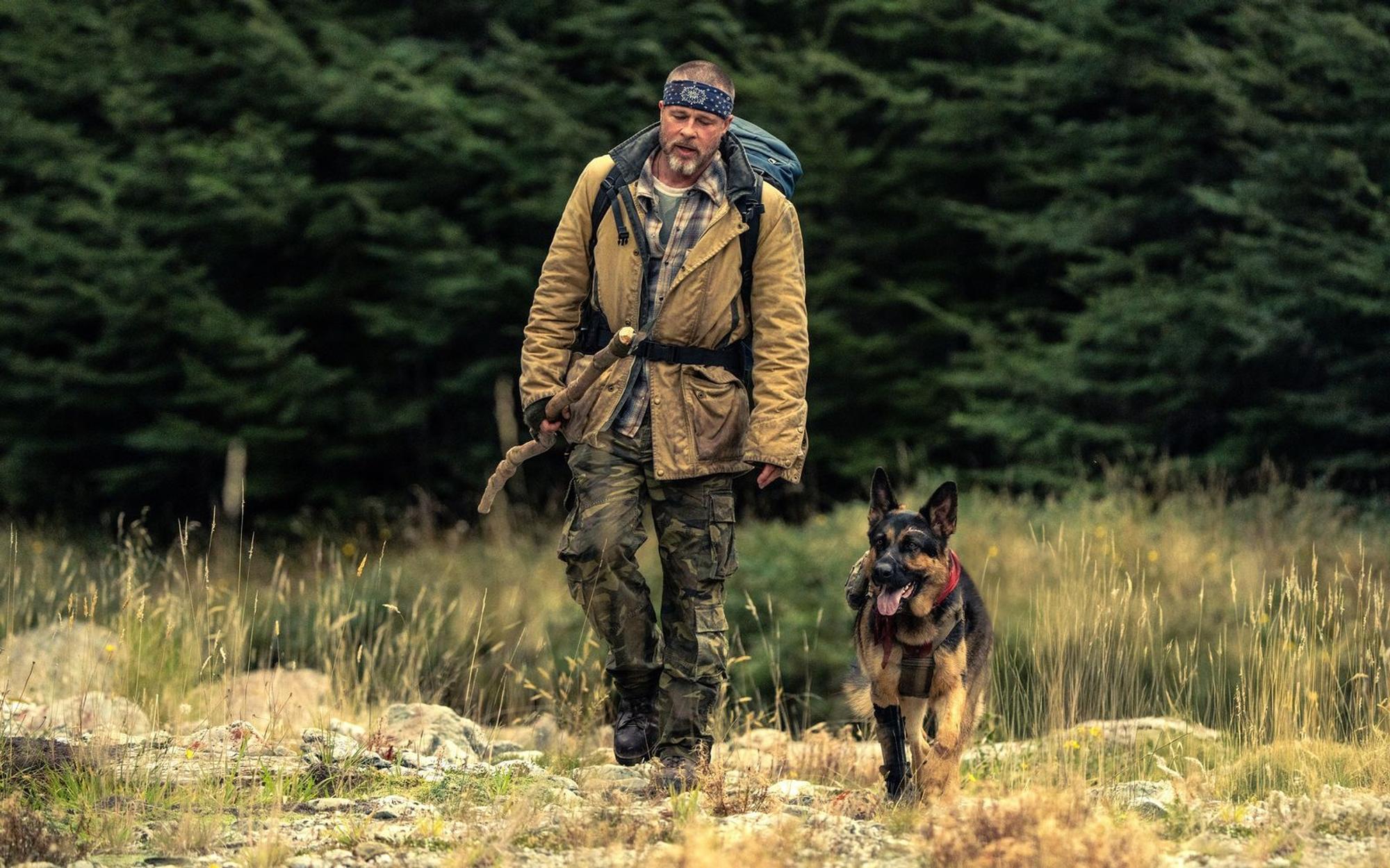 James (Brad Pitt) und sein Schäferhund Odin kämpfen sich nach einem Flugzeugabsturz in Alaska zurück in die Zivilisation. (Bild: 2026 Paramount Pictures/Scott Garfield)