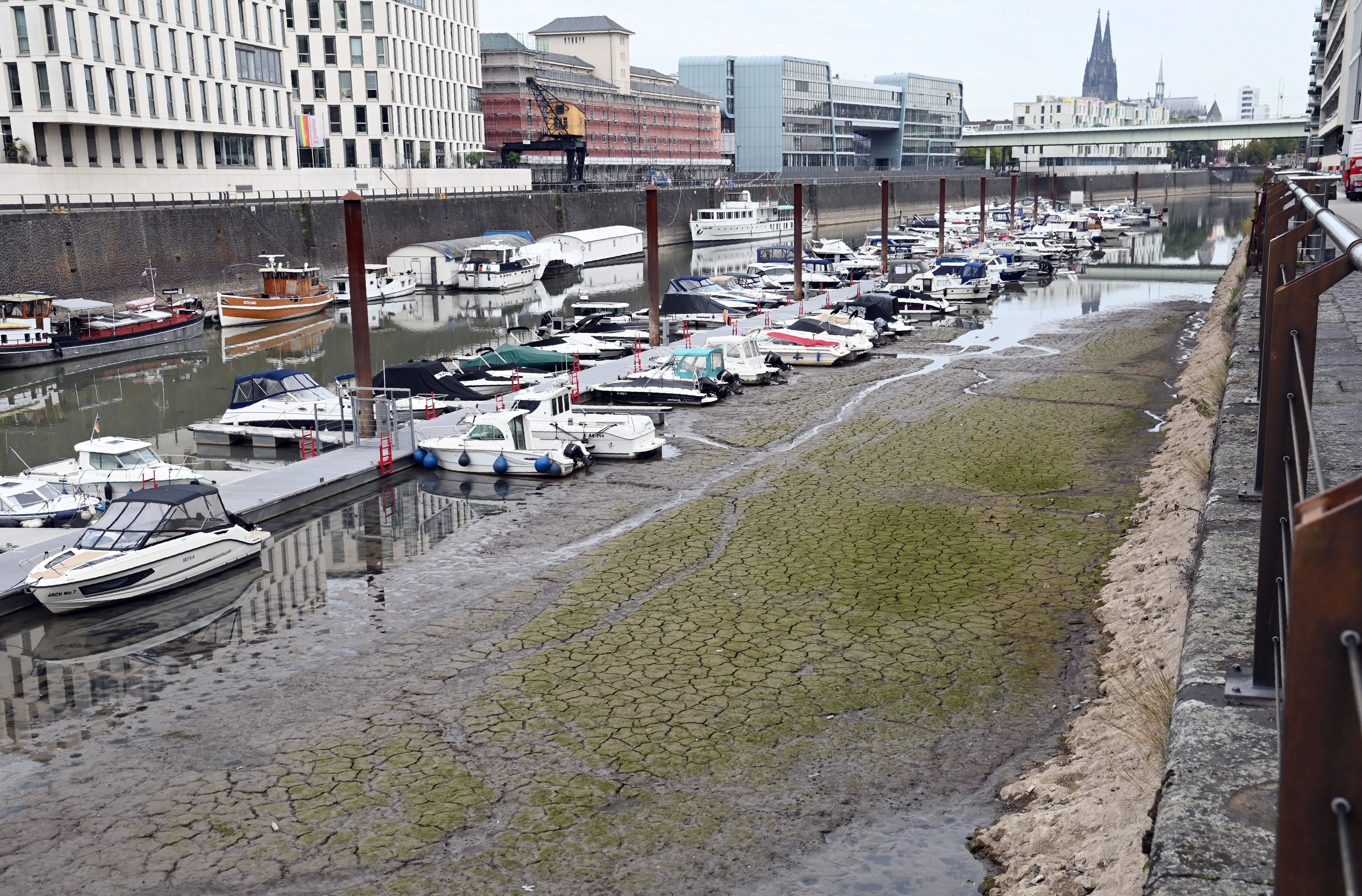 Boote im Kölner Rheinauhafen liegen auf dem Trockenen.