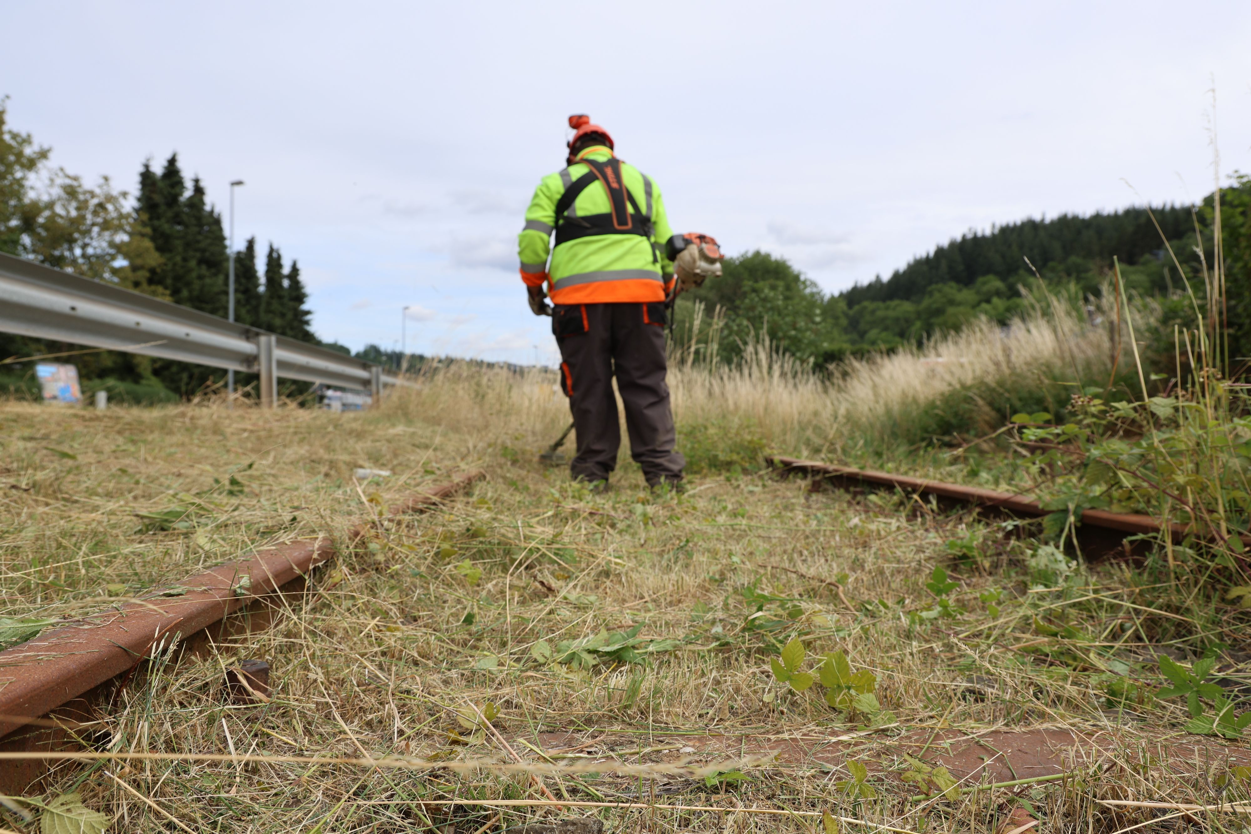 Ein Arbetier mit einem Freischneider ist auf der Oleftalbahn-Trasse zugange.