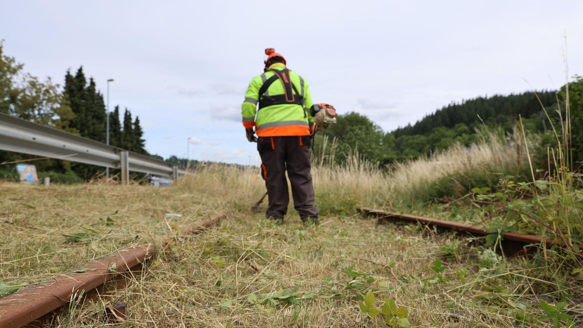 Ein Arbetier mit einem Freischneider ist auf der Oleftalbahn-Trasse zugange.