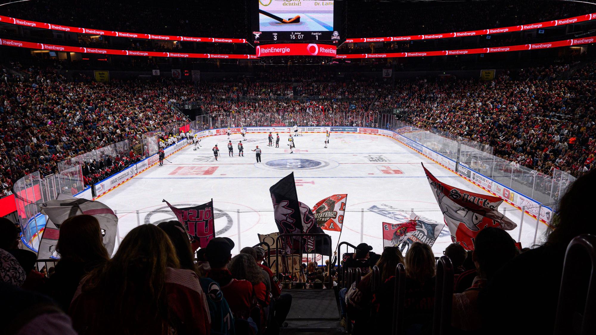 COLOGNE, GERMANY - 20 SEPTEMBER, 2026: - The PENNY DEL Ice hockey, Eishockey match Koelner Haie vs. Loewen Frankfurt at LANXESS arena. PUBLICATIONxNOTxINxRUS Copyright: xVitaliixKliuievx
