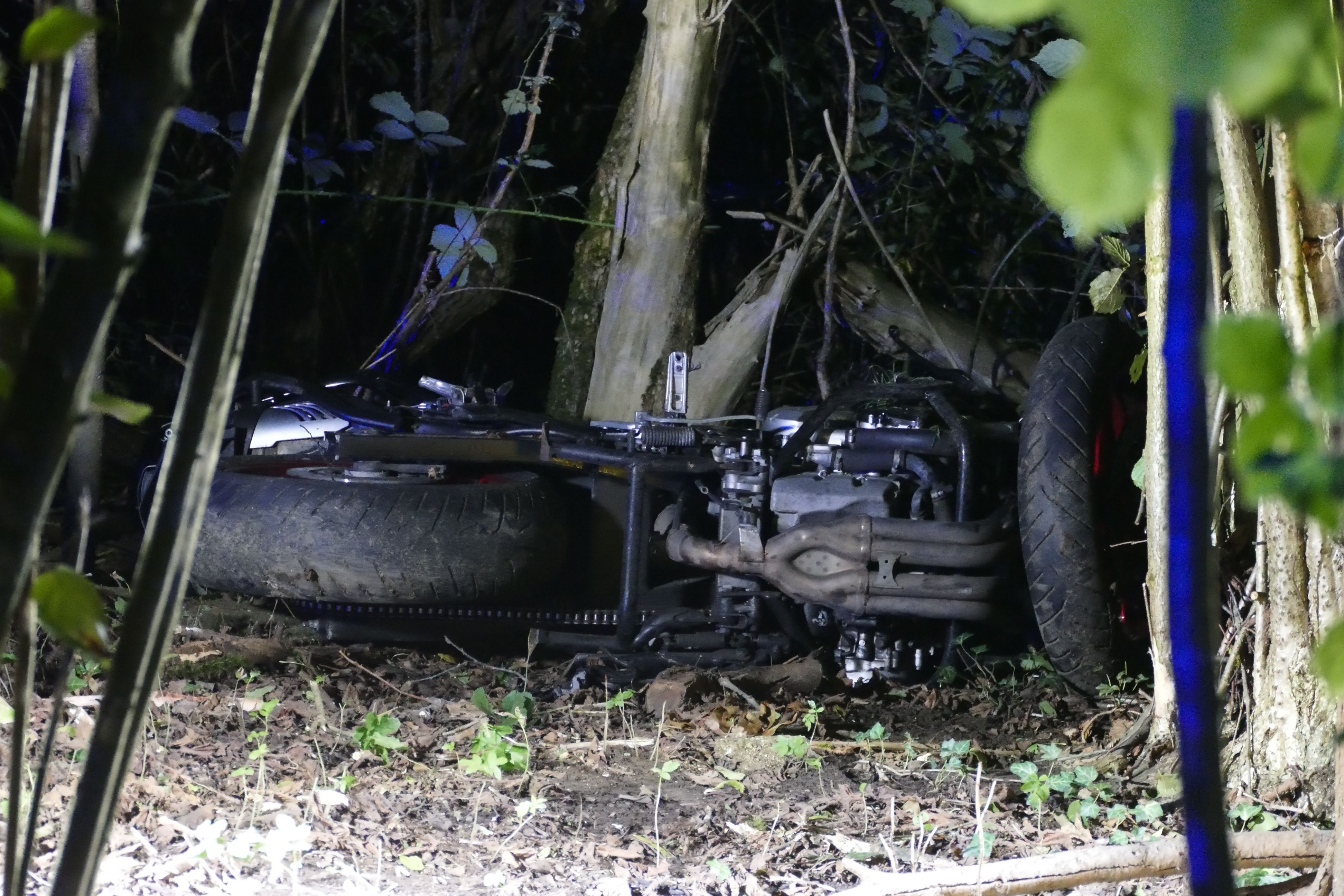 Ein zerstörtes Motorrad im Unterholz an einem Baumstamm.