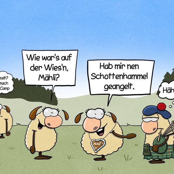 Vier Schafe stehen auf einer Wiese. Ein Schaf fragt ein anderes: „Wie war's auf der Wies'n, Mähli?“ Diese hat ein Lebkuchenherz um den Hals, zeigt auf ein Schaf im Schottenrock und sagt: „Hab mir nen Schottenhammel geangelt.“ Ein anderes Schaf im Hintergrund denkt: „Käferzelt? Klingt nach Jugle Camp.“