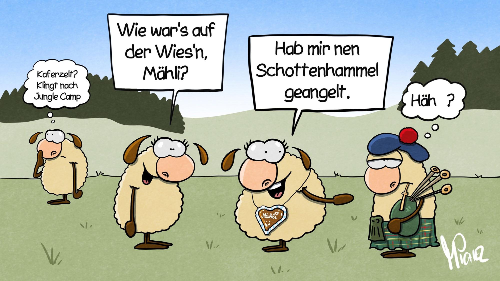 Vier Schafe stehen auf einer Wiese. Ein Schaf fragt ein anderes: „Wie war's auf der Wies'n, Mähli?“ Diese hat ein Lebkuchenherz um den Hals, zeigt auf ein Schaf im Schottenrock und sagt: „Hab mir nen Schottenhammel geangelt.“ Ein anderes Schaf im Hintergrund denkt: „Käferzelt? Klingt nach Jugle Camp.“