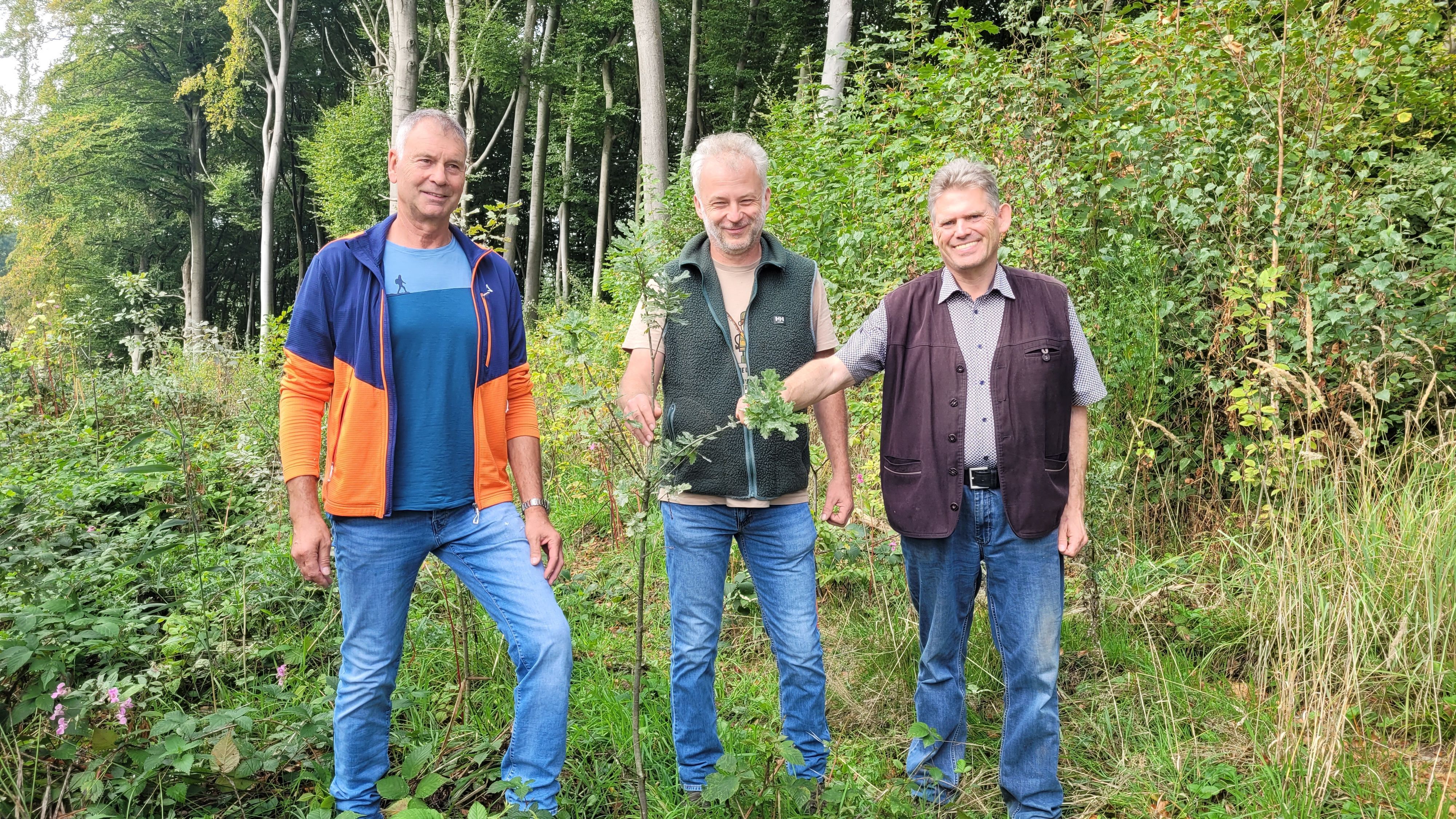Kürtener Forstbetriebsgemeinschaft:  Aufforstung im Dürschtal bei Spitze mit (von links). Helmut Förster (St. Marien Kürten), Revierförster Frank Lürken und Michael Molitor als Vorsitzender der Forstbetriebsgemeinschaft Kürten
