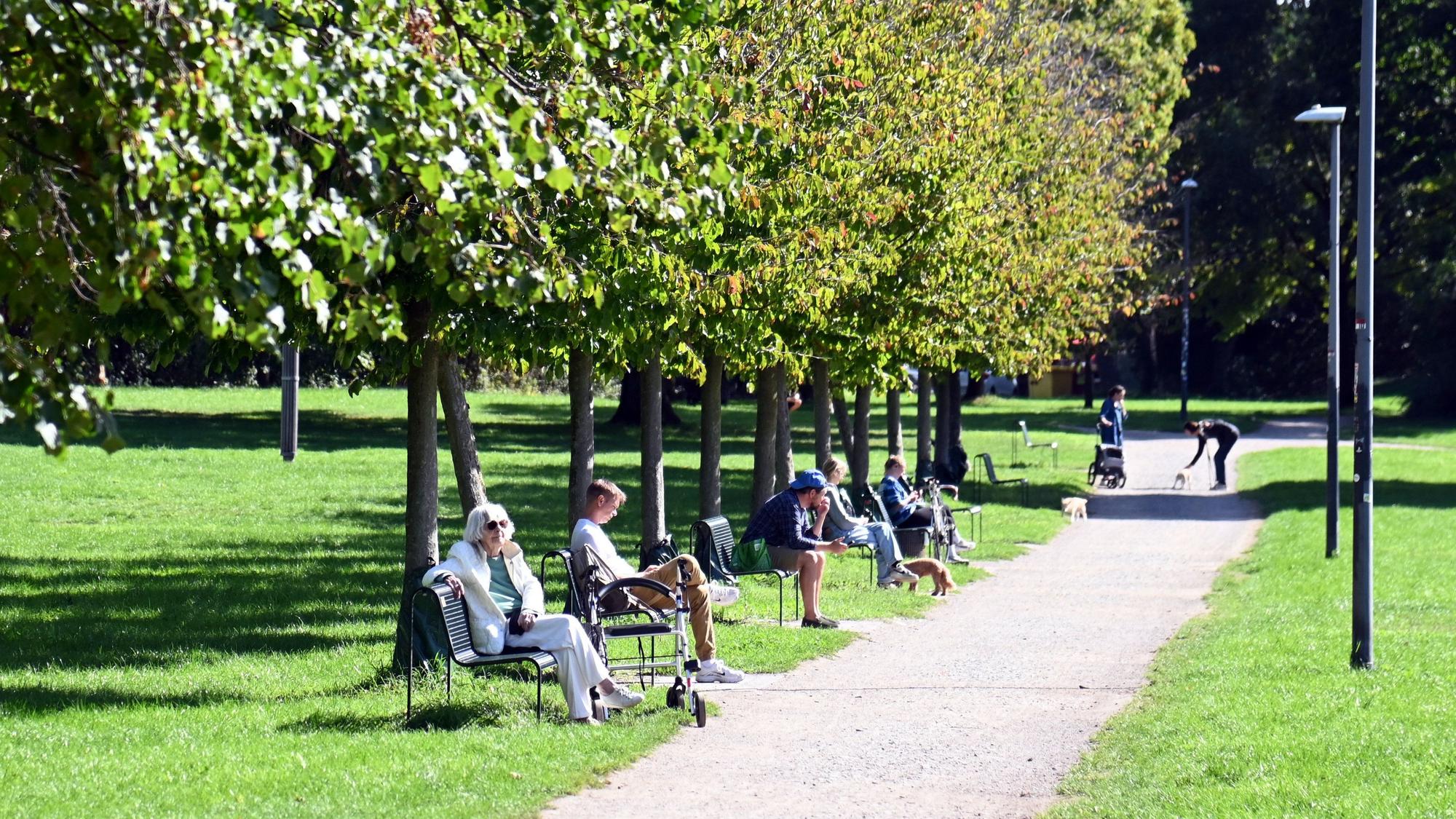 23.09.2026 Köln. Wetter. Herbst. Noch einmal Sonne tanken im Lentpark. Foto: Alexander Schwaiger