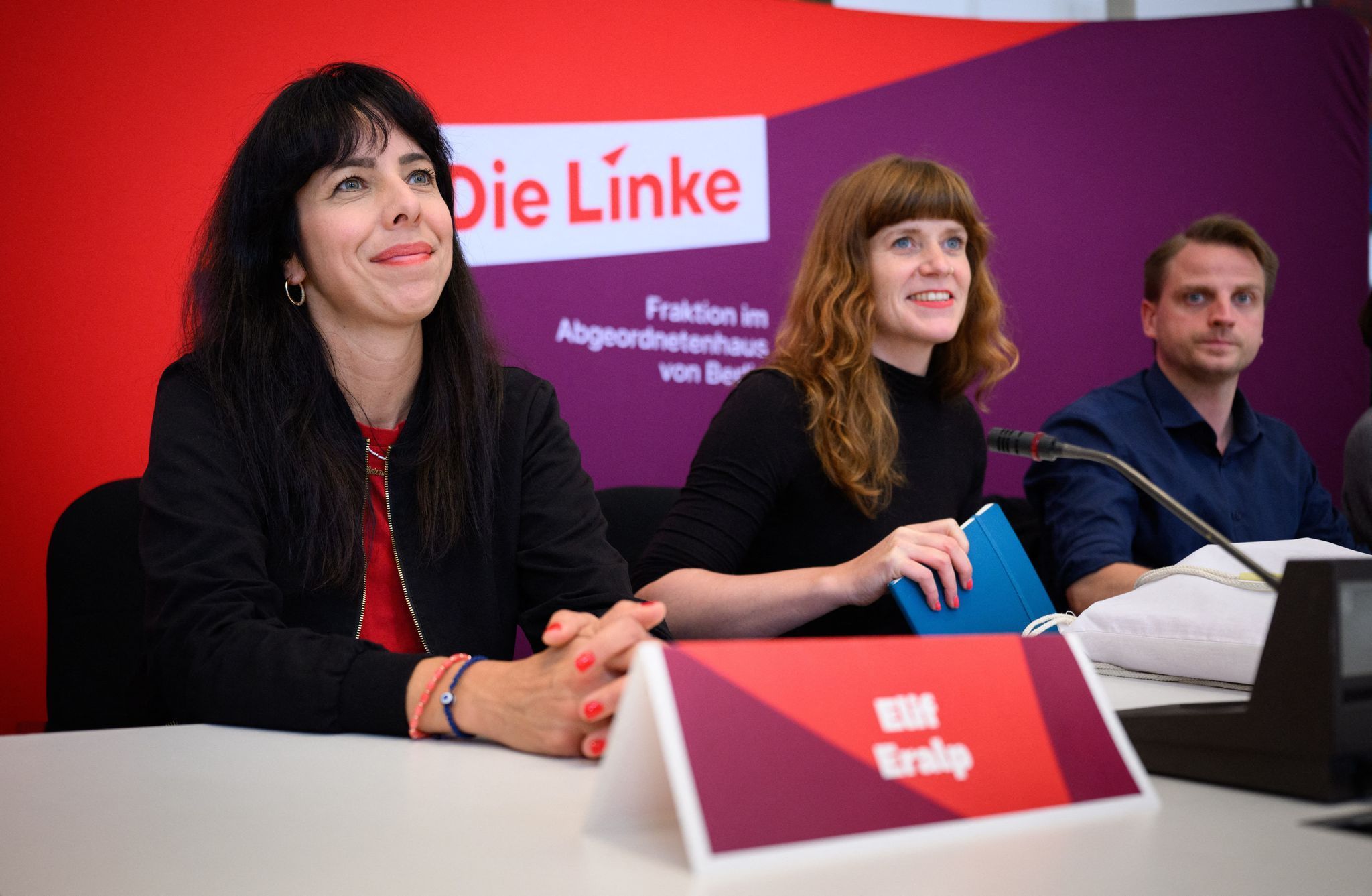 Berliner Abgeordnetenhaus - Die Linke