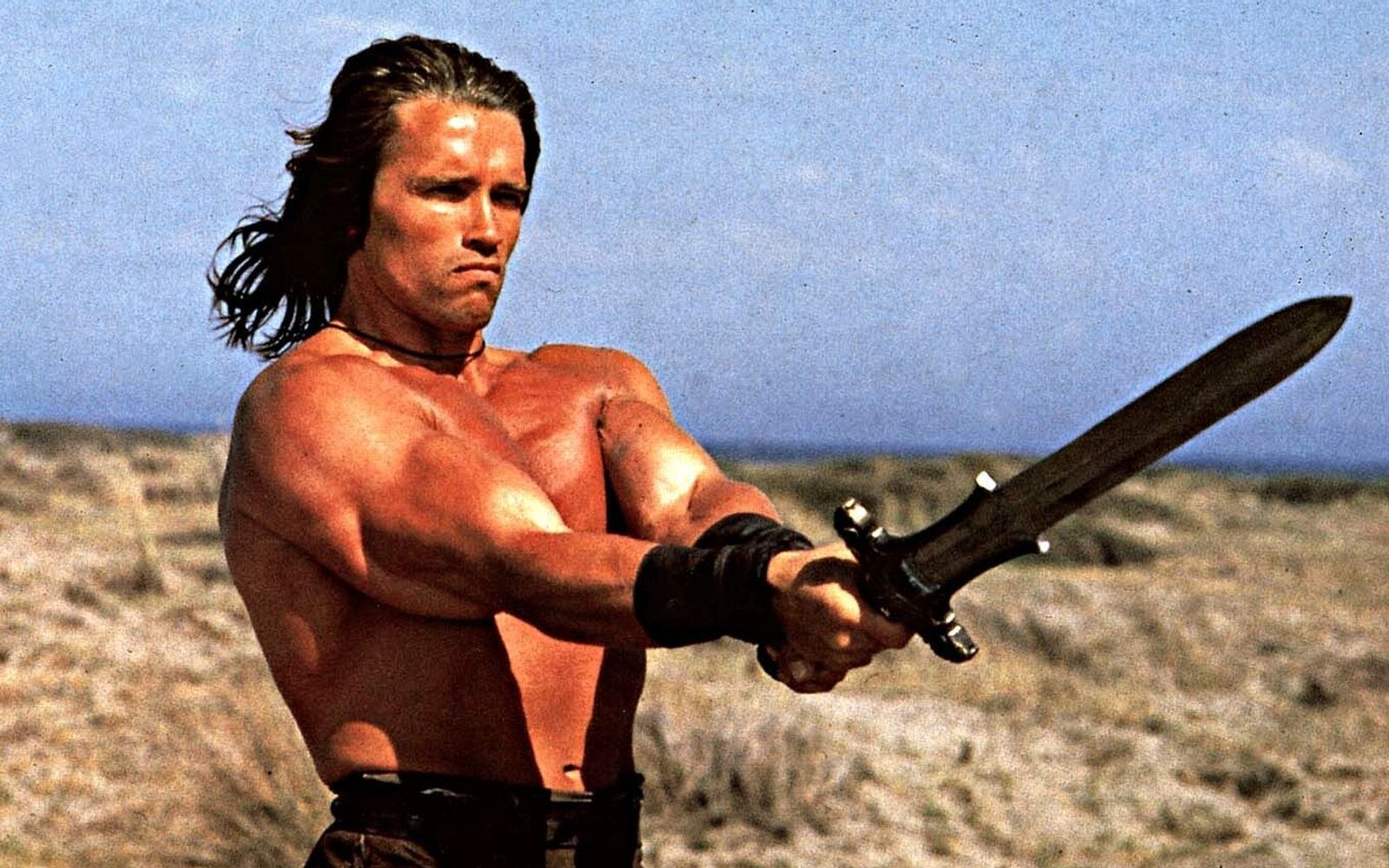 Demnächst wird Arnold Schwarzenegger wieder in der Rolle zu sehen sein, die ihm in Hollywood den Durchbruch verschaffte: In „King Conan“ ist aus dem Barbaren von einst ein alter, mit seiner Vergangenheit und seiner Sterblichkeit ringender König geworden. (Bild: Concorde)