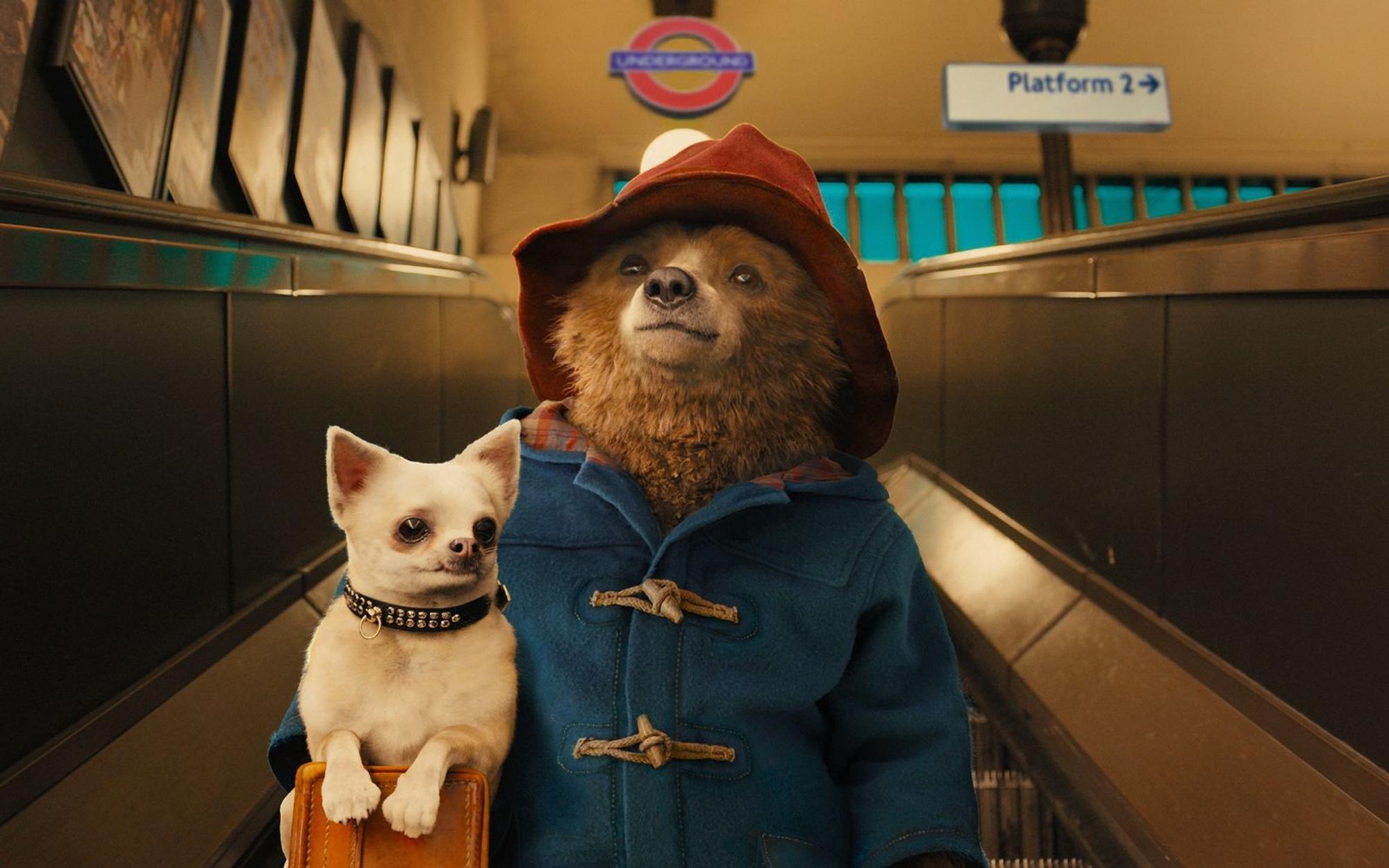 Das Schild „Auf der Rolltreppe müssen Hunde getragen werden“ nimmt der Großstadtneuling Paddington sehr genau ... (Bild: RTL / P&Co. Ltd.SC 2014. Licensed on behalf of Studiocanal S.A. by Copyrights Group)
