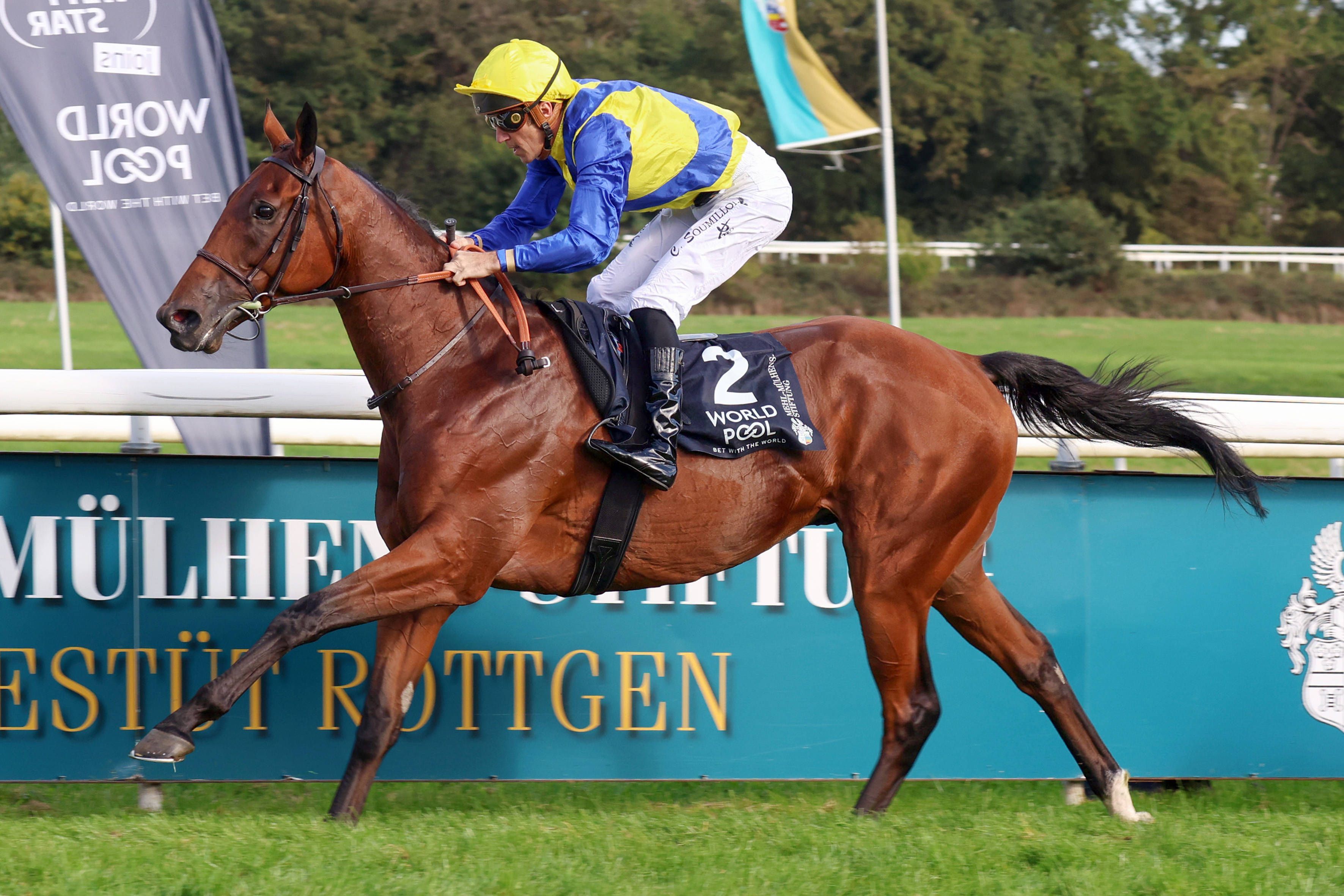 27.09.2026, Koeln, Nordrhein-Westfalen, GER - Goliath mit Christophe Soumillon gewinnt den 64. Preis von Europa. Galopprennbahn Koeln-Weidenpesch. Pferd, Jockey, Goliath, Soumillon, Sieg, Ziel, Zielankunft 260927S892KOELN.JPG *** September 27, 2026, Cologne, North Rhine-Westphalia, GER Goliath, ridden by Christophe Soumillon, wins the 64th Prix de l Europe at the Cologne-Weidenpesch Racetrack Horse, jockey, Goliath, Soumillon, victory, finish line, finish 260927S892KOELN JPG