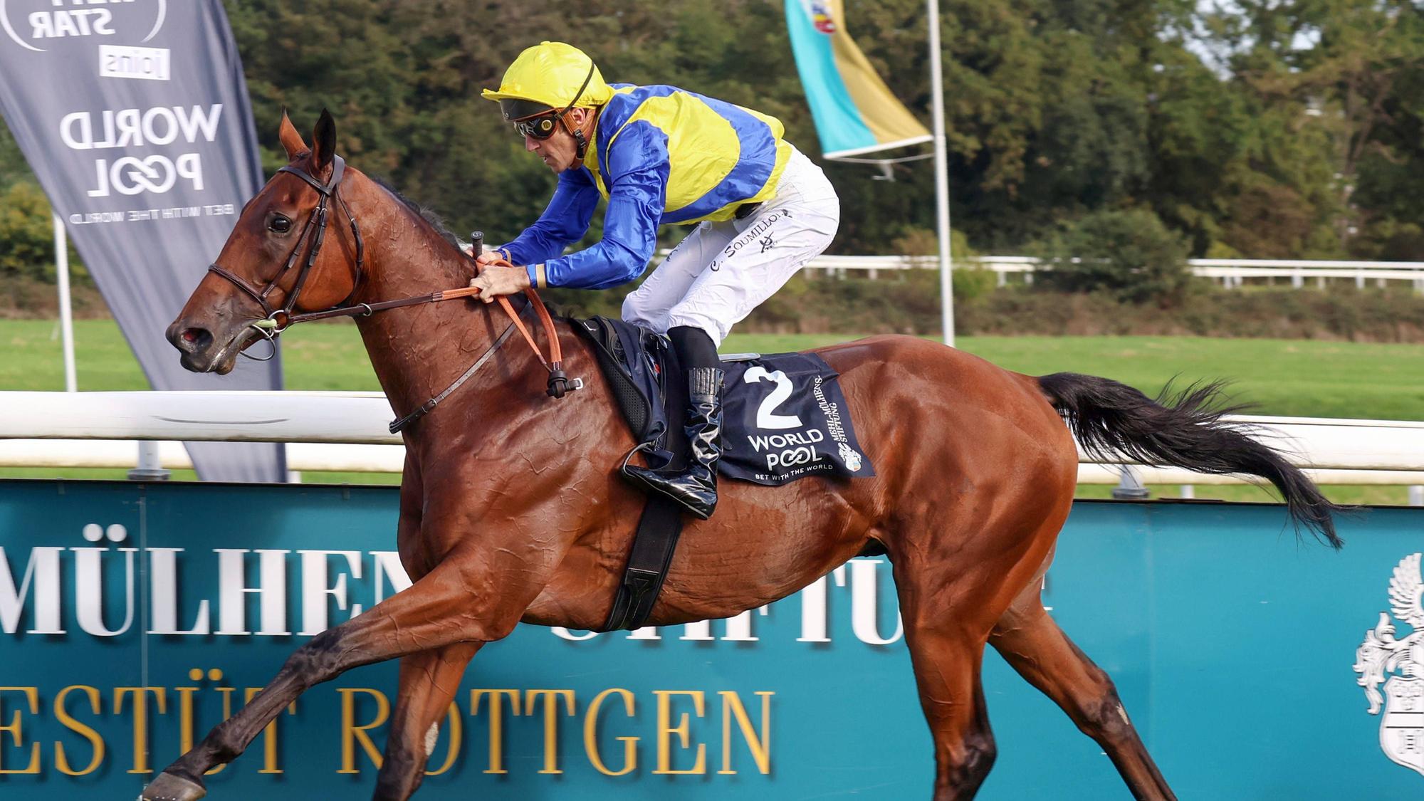 27.09.2026, Koeln, Nordrhein-Westfalen, GER - Goliath mit Christophe Soumillon gewinnt den 64. Preis von Europa. Galopprennbahn Koeln-Weidenpesch. Pferd, Jockey, Goliath, Soumillon, Sieg, Ziel, Zielankunft 260927S892KOELN.JPG *** September 27, 2026, Cologne, North Rhine-Westphalia, GER Goliath, ridden by Christophe Soumillon, wins the 64th Prix de l Europe at the Cologne-Weidenpesch Racetrack Horse, jockey, Goliath, Soumillon, victory, finish line, finish 260927S892KOELN JPG