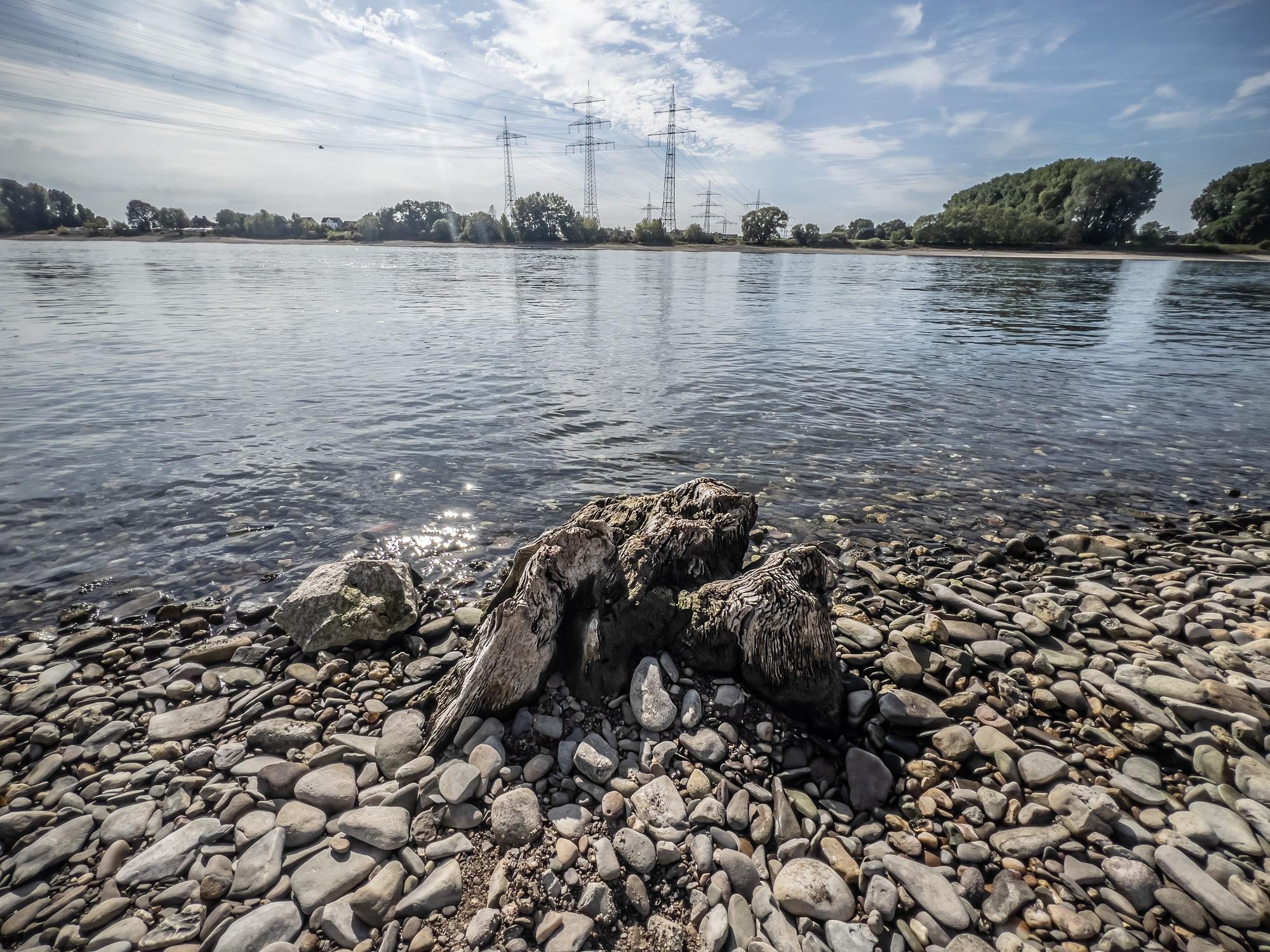 Der Rheinstrom, Rhenus, Pegel auf dem Tiefststand Thema PFAS im Abwasser Bild: Ralf Krieger