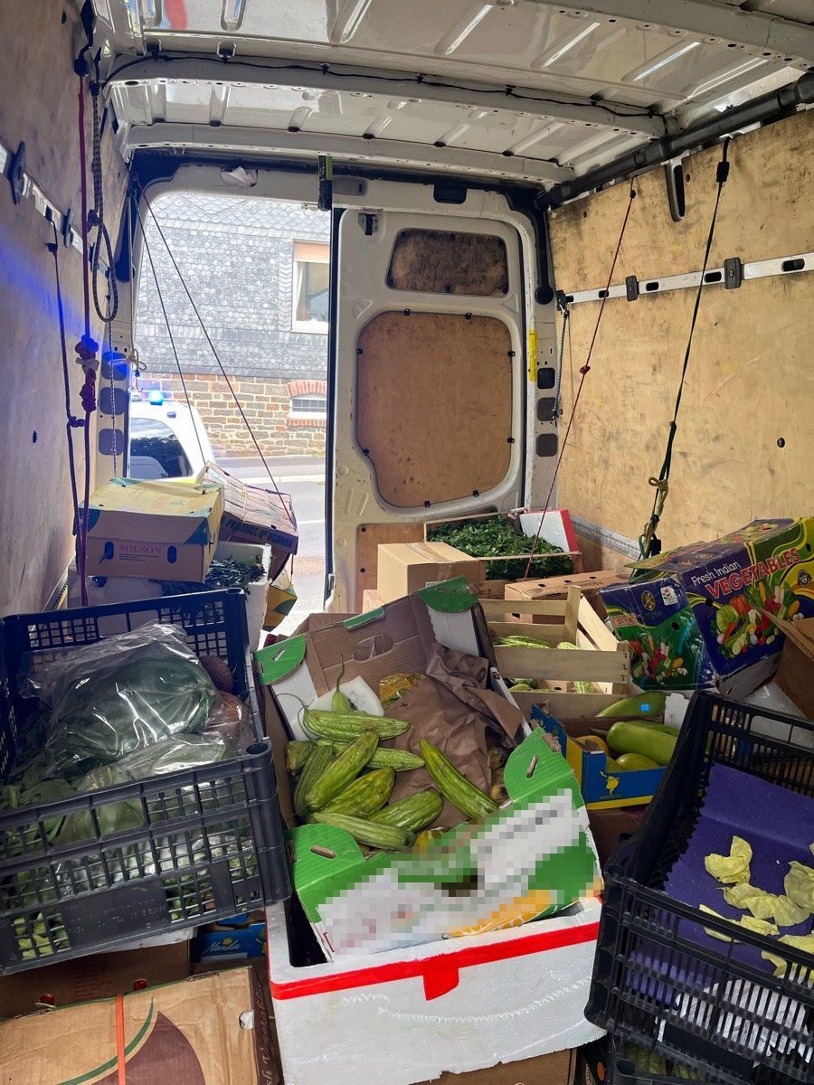 Blick ins Innere des Lebensmitteltransporters.