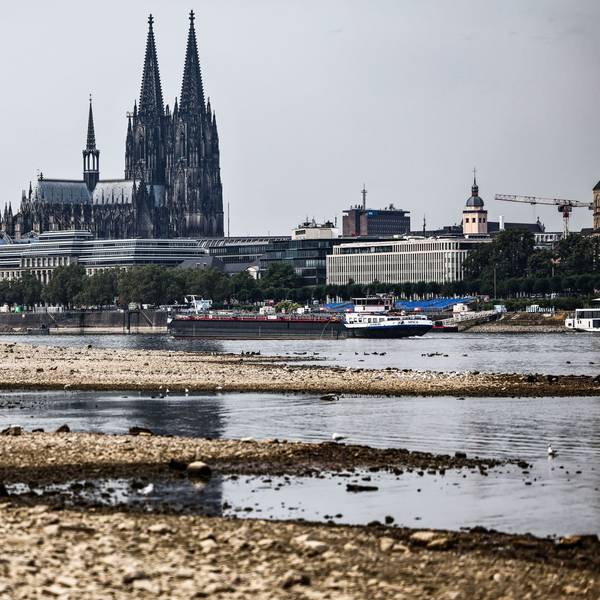 Niedrigwasser am Rhein in Köln