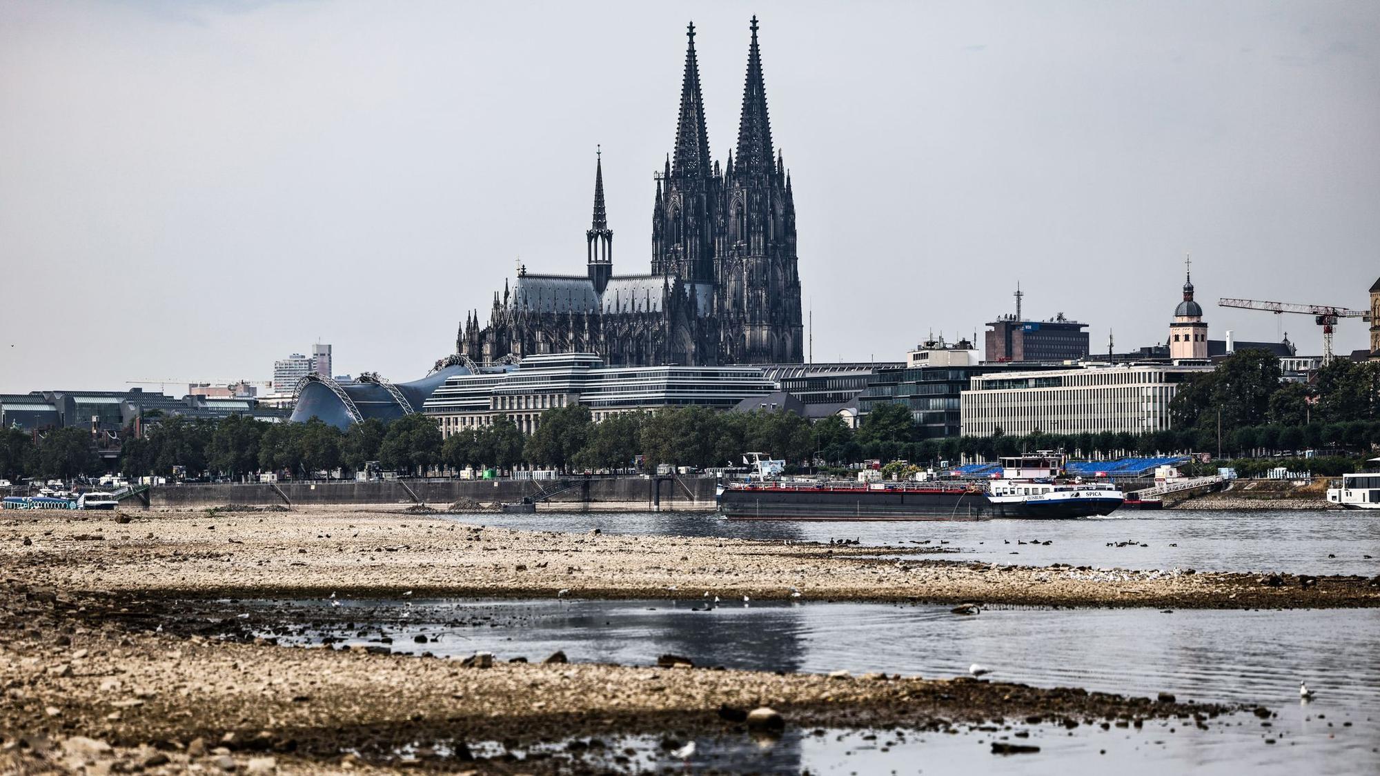 Niedrigwasser am Rhein in Köln