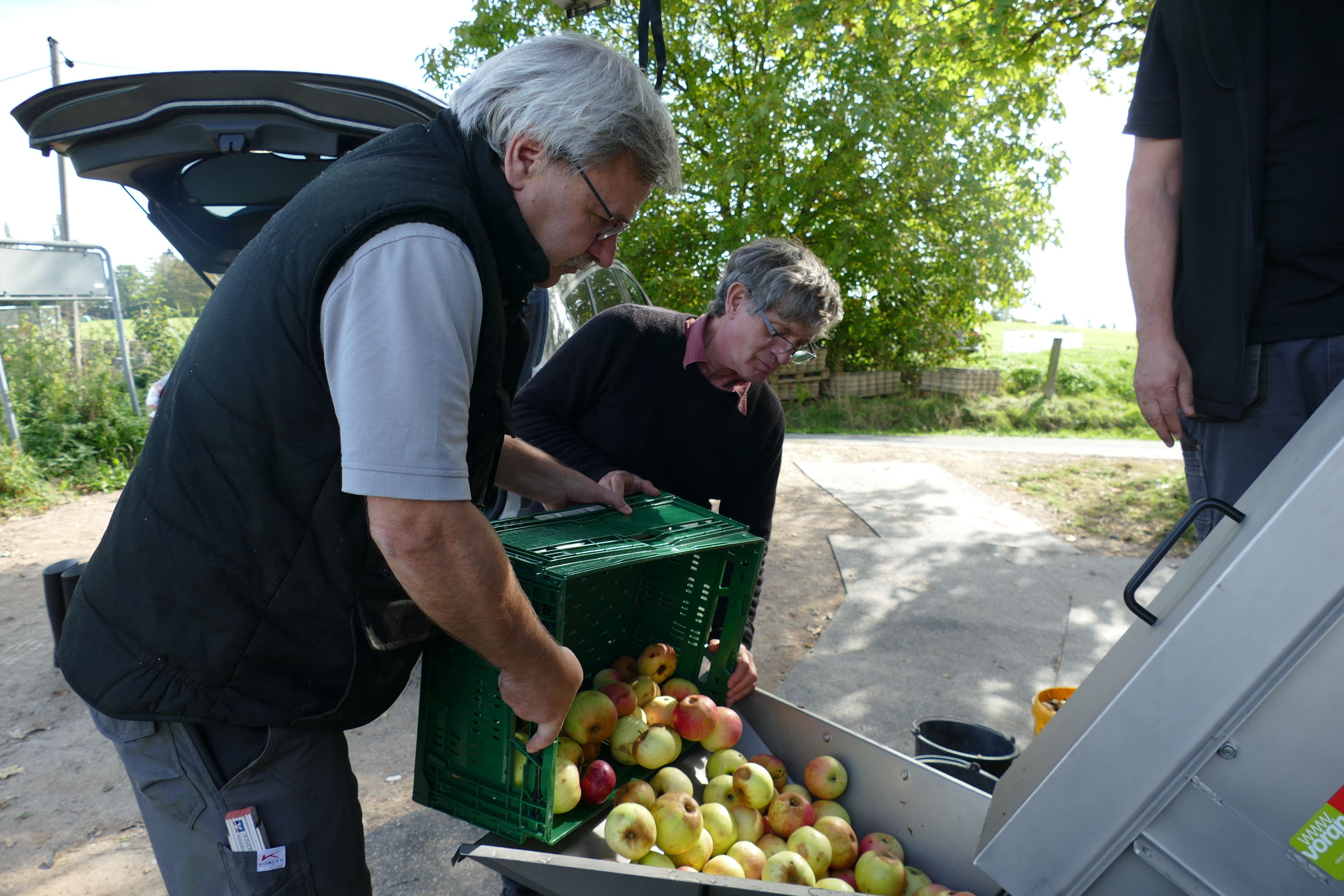 Dirk Terveer und Vincent Valentin (r.) vom Heimatverein Allner kippen die Ernte in die Saftpresse.
