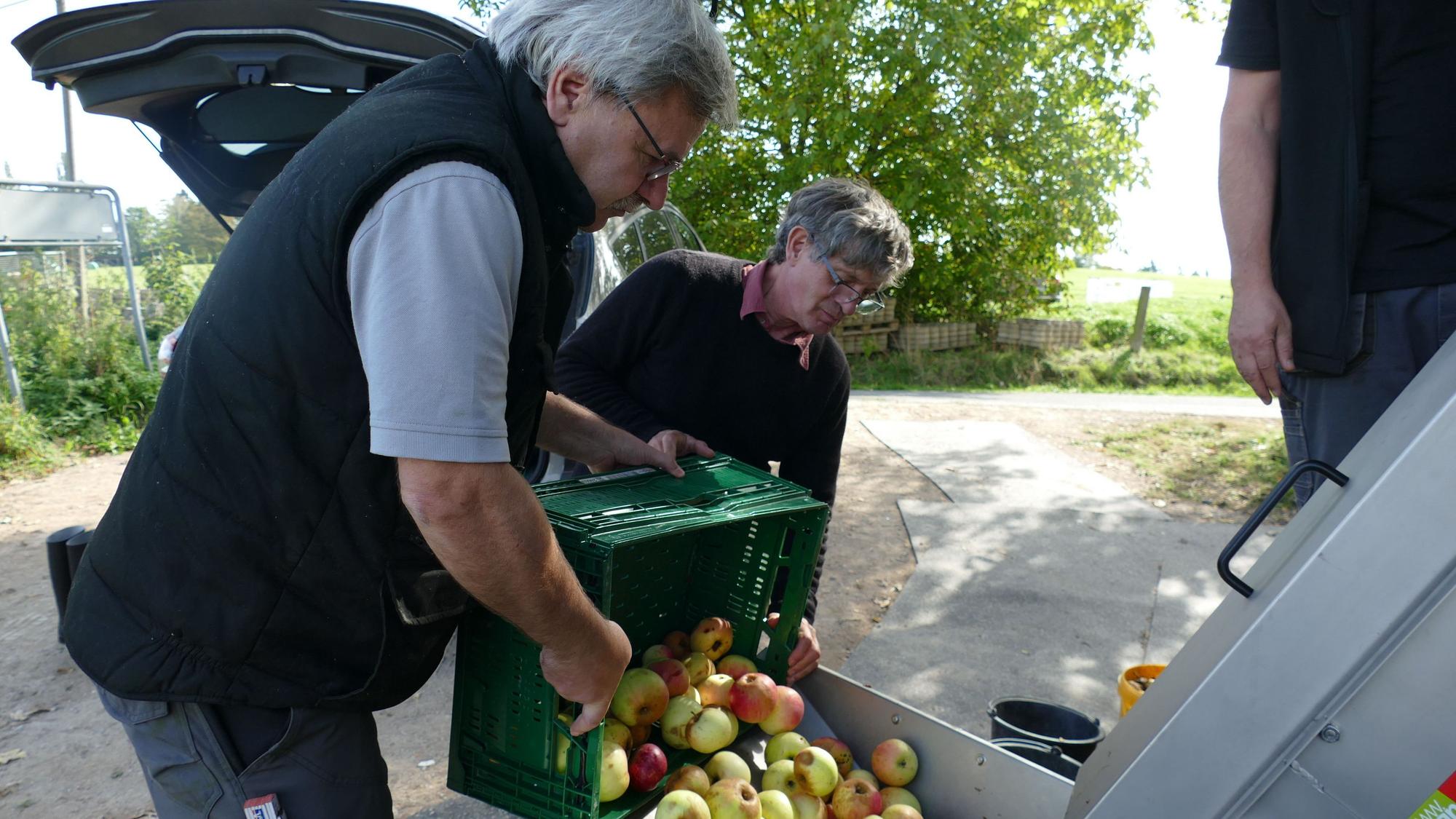 Dirk Terveer und Vincent Valentin (r.) vom Heimatverein Allner kippen die Ernte in die Saftpresse.