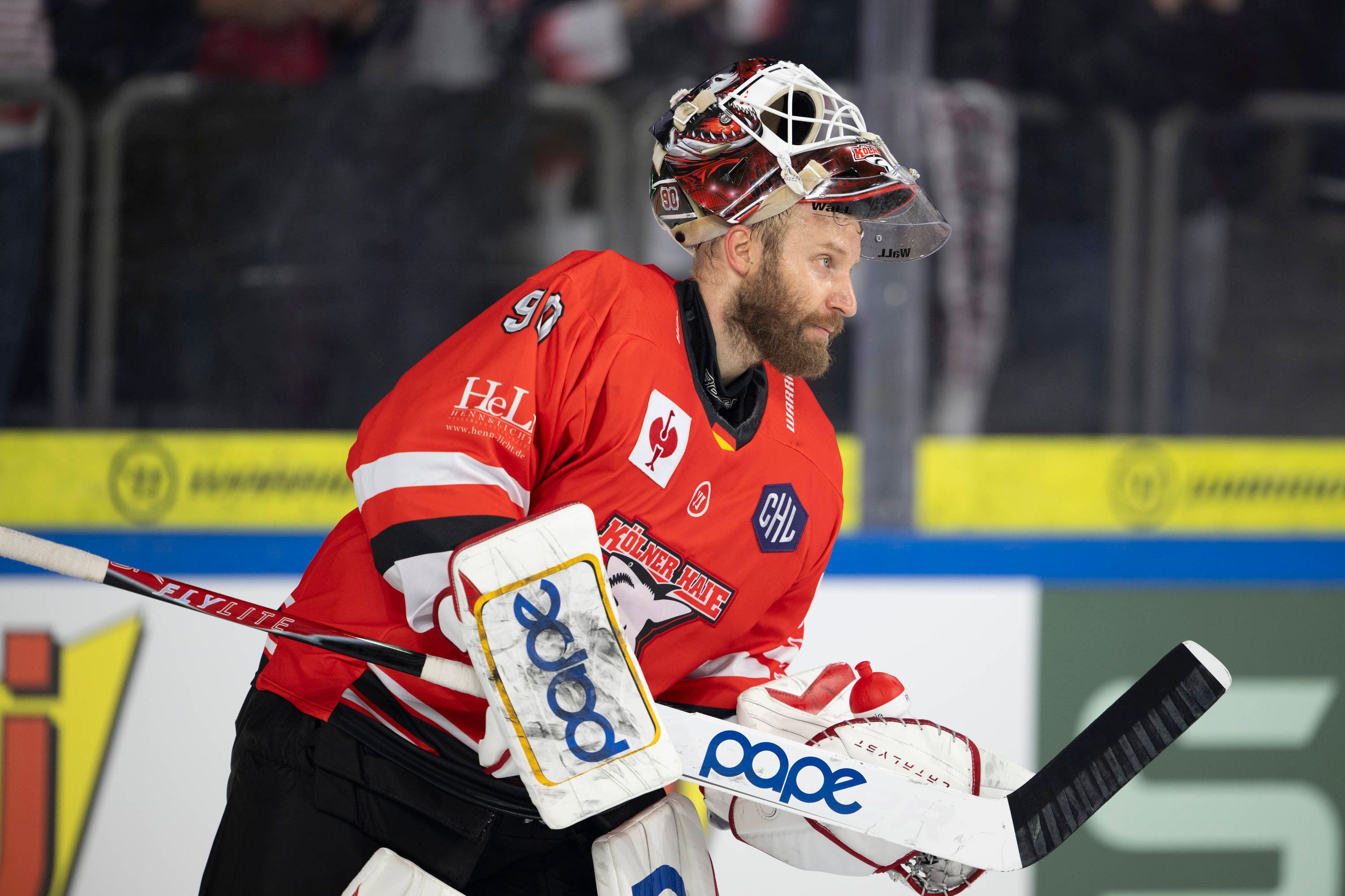 CHL Vorrunde Kölner Haie - KAC Klagenfurt Krefeld, 12.09.2026 Felix Brückmann Kölner Haie, Torwart, 90 CHL Vorrunde Kölner Haie - KAC Klagenfurt am 12.09.2026 in der Yayla Arena in Krefeld Deutschland. *** CHL Preliminary Round: Kölner Haie vs. KAC Klagenfurt, Krefeld, September 12, 2026 Felix Brückmann Kölner Haie, Goaltender, 90 CHL Preliminary Round: Kölner Haie vs. KAC Klagenfurt on September 12, 2026, at the Yayla Arena in Krefeld, Germany Copyright: xBEAUTIFULxSPORTS/AndreasxDickx