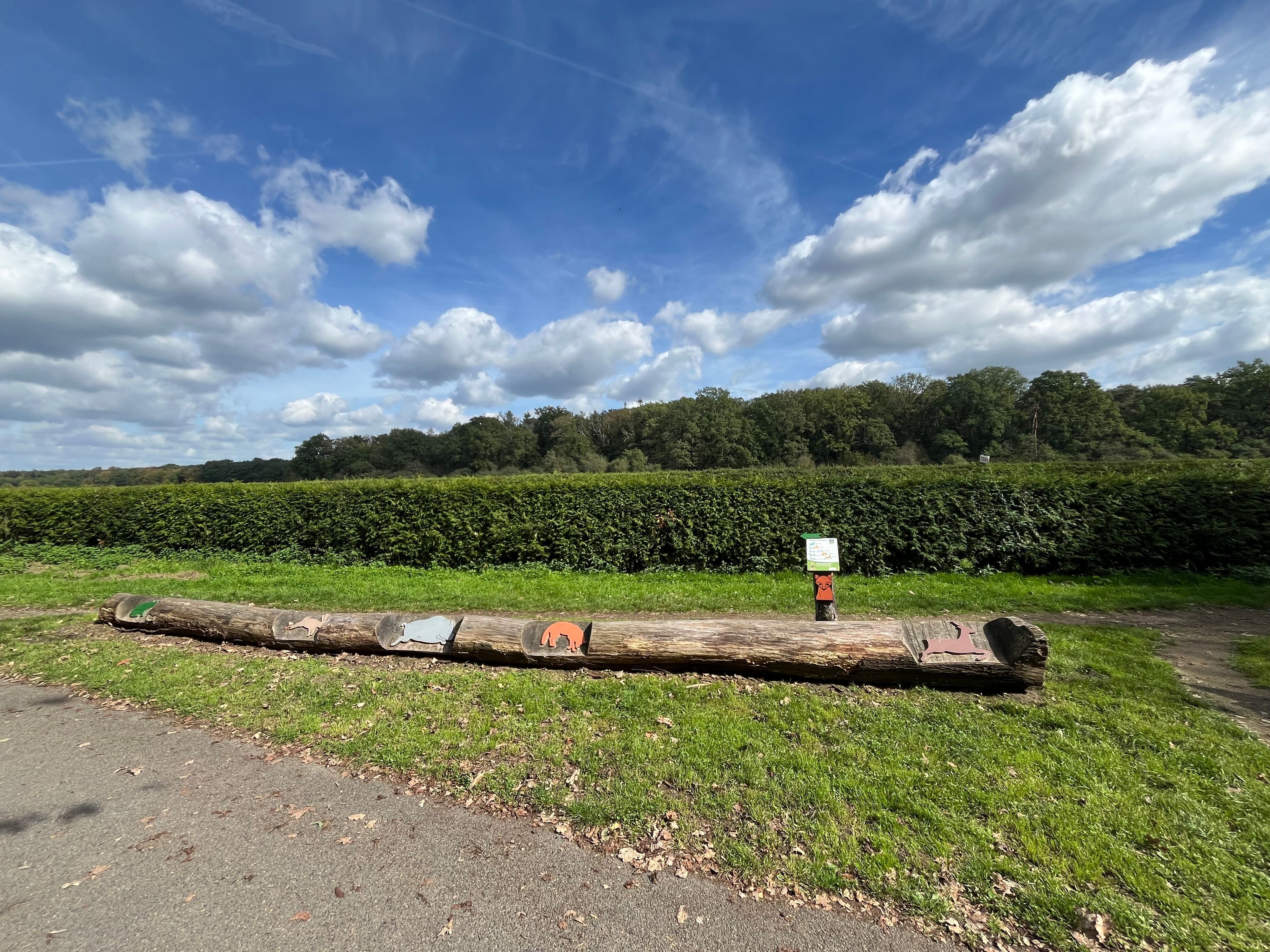 Ein langer Baumstamm liegt am Weg. Darauf sind mehrere Tierfiguren befestigt; dahinter stehen eine Hecke und ein Wald. Daneben weist ein kleines Schild auf die Station hin.