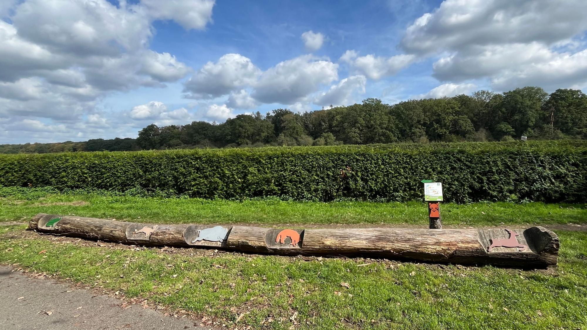 Ein langer Baumstamm liegt am Weg. Darauf sind mehrere Tierfiguren befestigt; dahinter stehen eine Hecke und ein Wald. Daneben weist ein kleines Schild auf die Station hin.