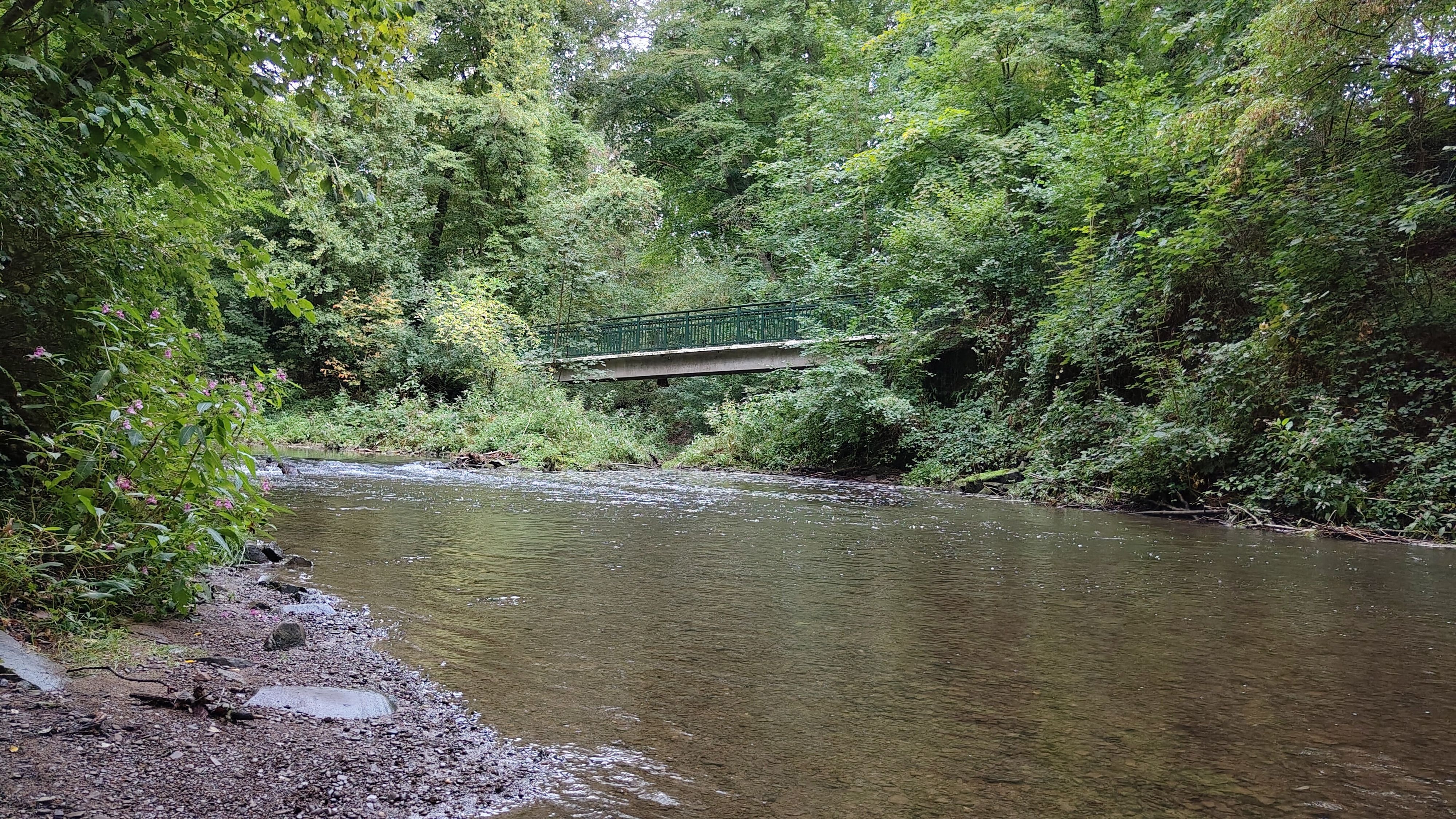 Vom Uferbereich der Dhünn ist im Hintergrund eine Brücke über die Dhünn sichtbar.