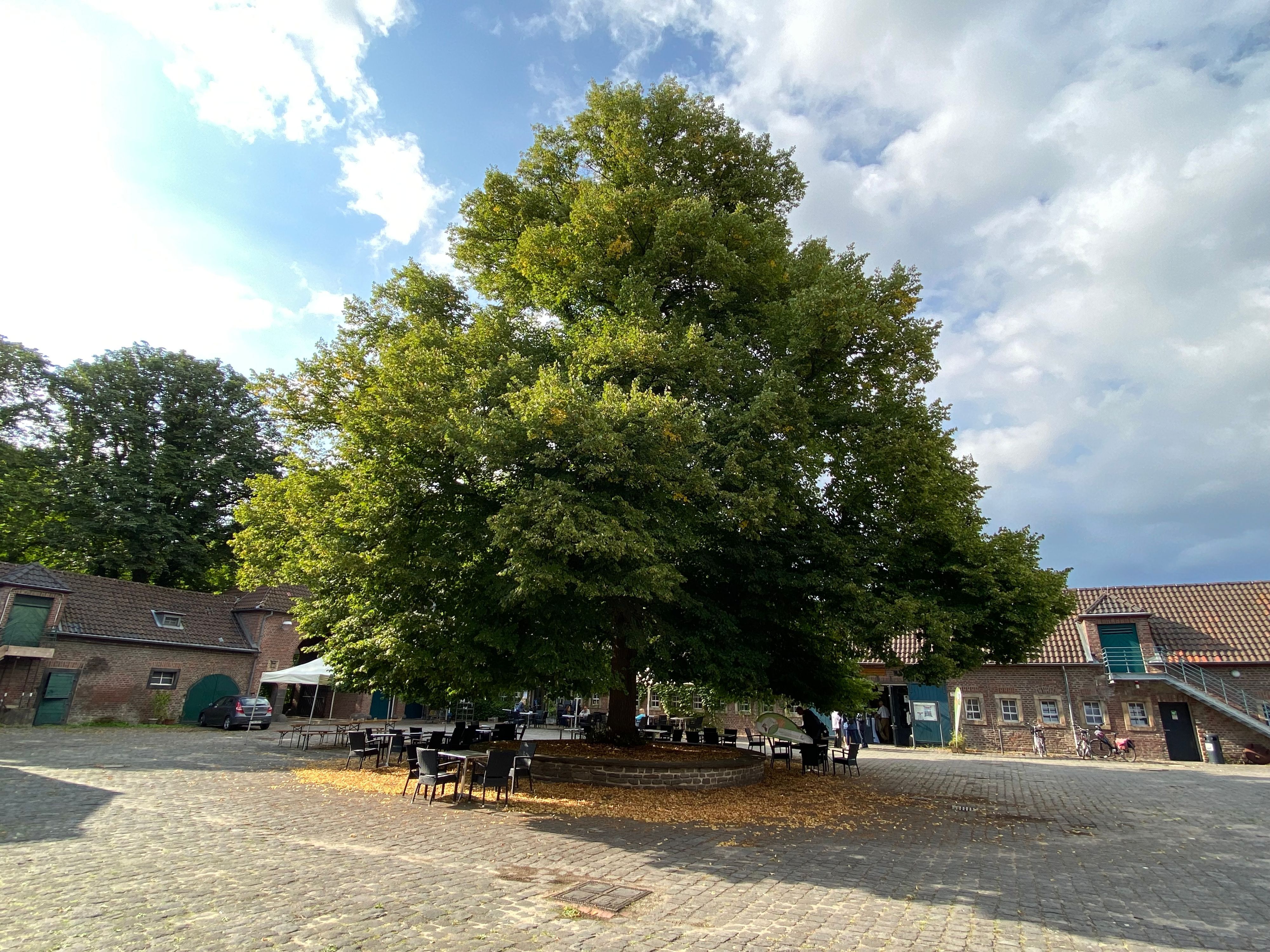 Eine große Hofanlage mit einem großen Baum in der Mitte ist zu sehen.
