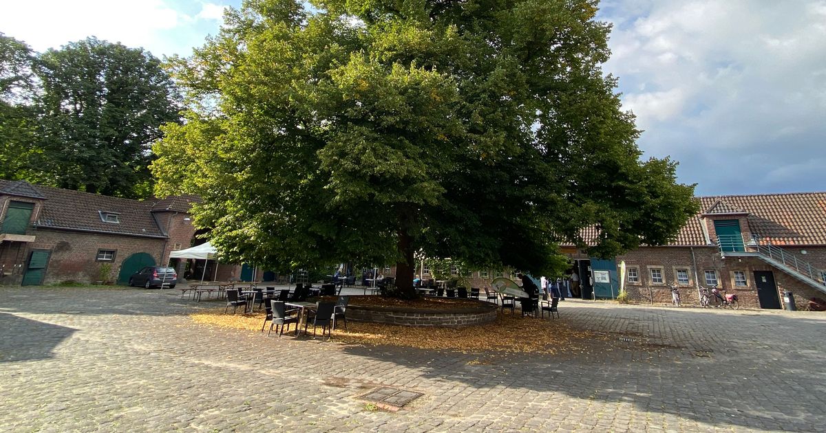 Gut Leidenhausen: Stadt will bekannter Kölner Wildtier-Schutzstation Mittel kürzen